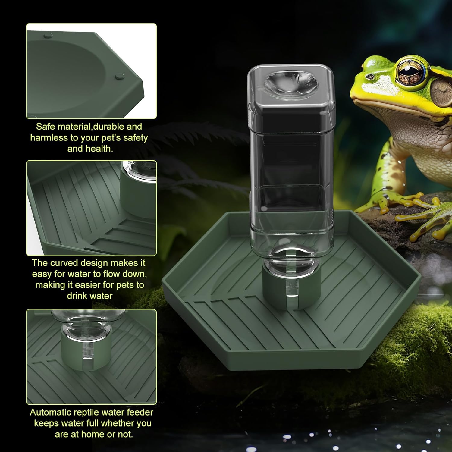 Top 5 Water Dispensers for Bearded Dragons in 2026