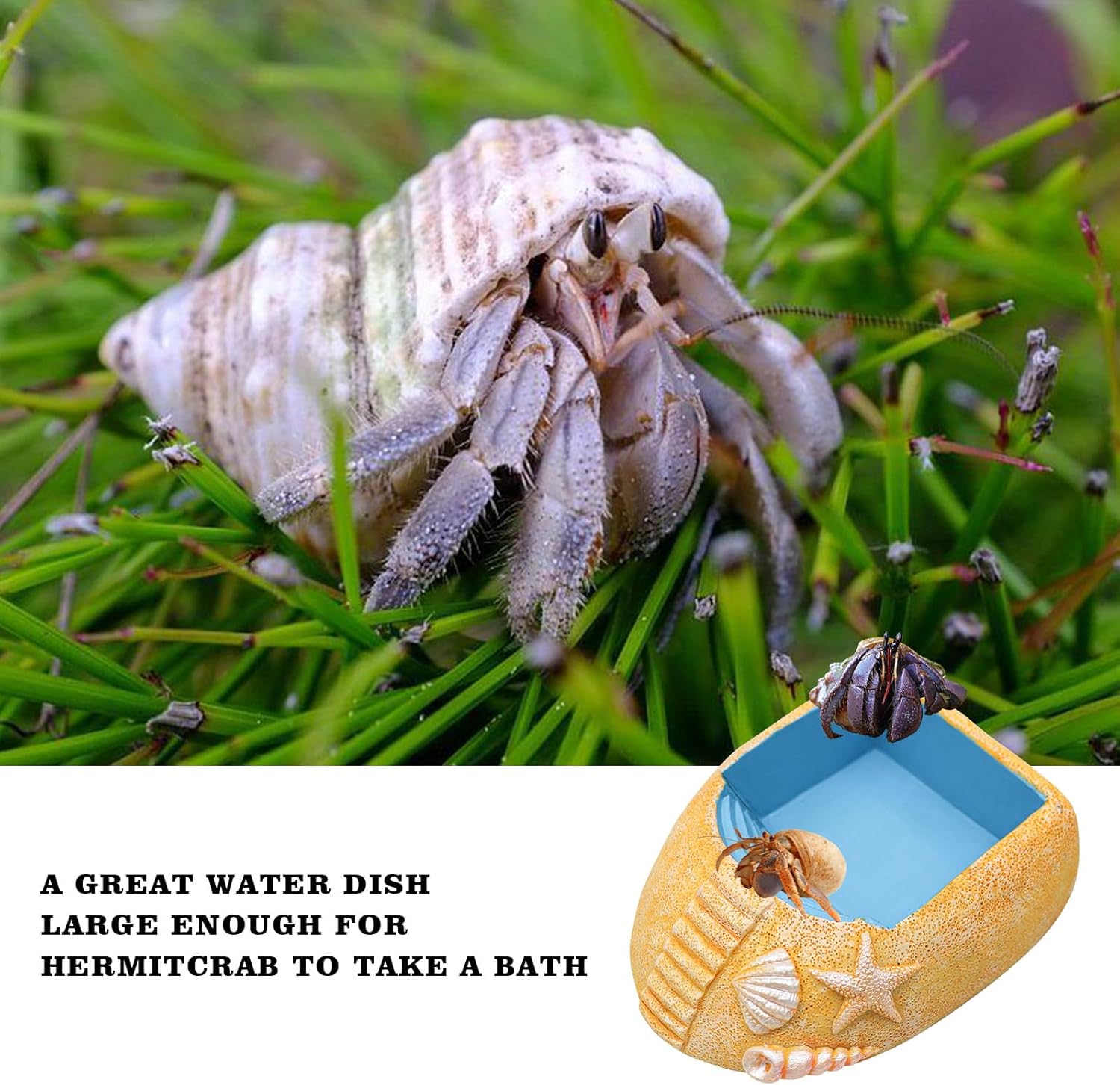 Hermit Crab Water Pool with Climbing Ramp – Resin Bathing Dish Bowl Aquarium Tank Habitat Decor for Hermit Crab Turtle Lizard Small Reptile Terrarium Accessories