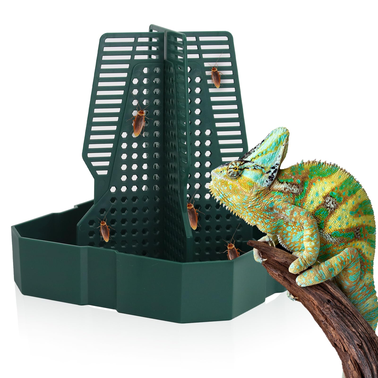 Reptile Insect Feeder Bowl with Climbing Column | Chameleon, Gecko & Lizard Bug Dish