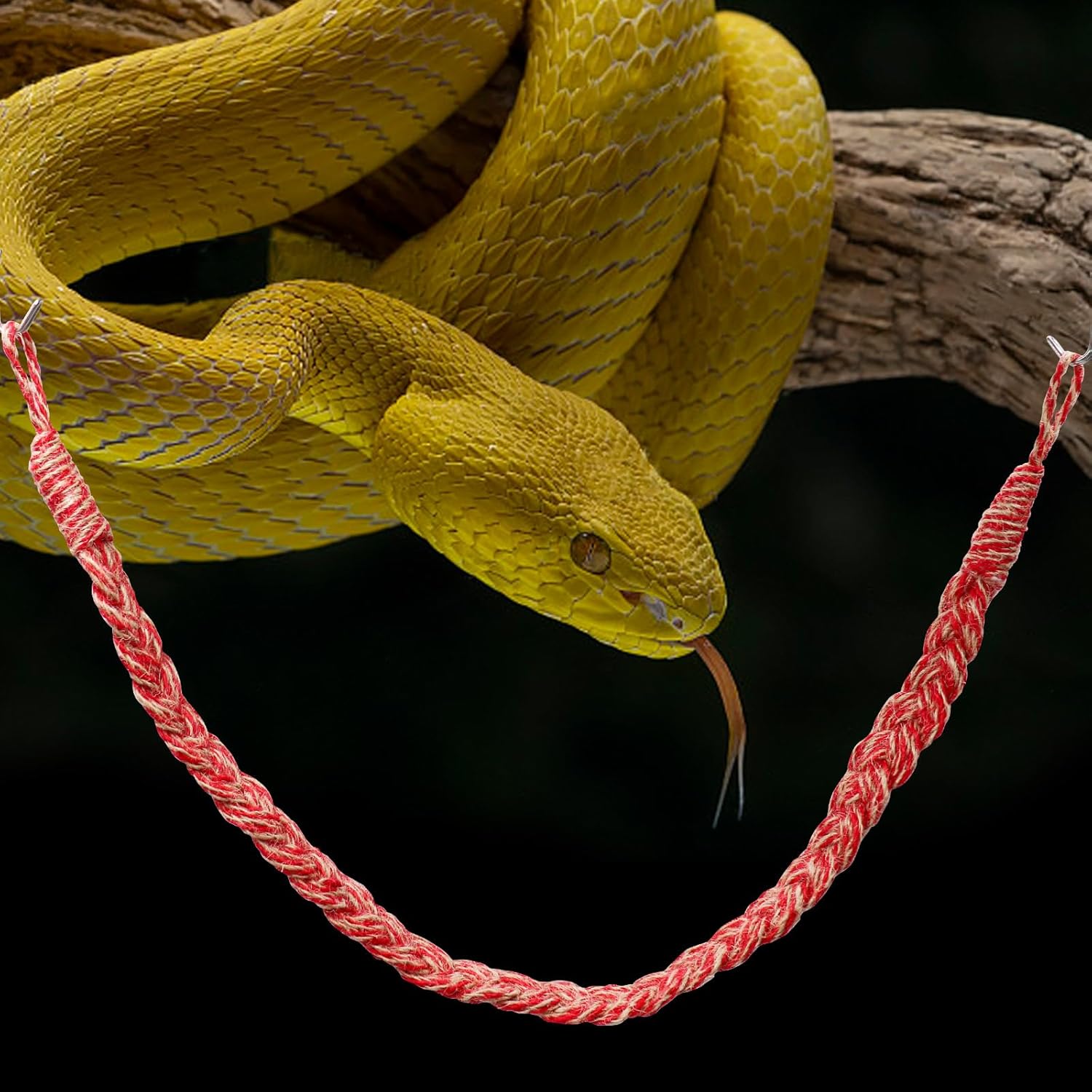 Reptile Climbing Vine Toy – Flexible Jungle Rope Ladder for Lizards, Geckos & Hermit Crabs