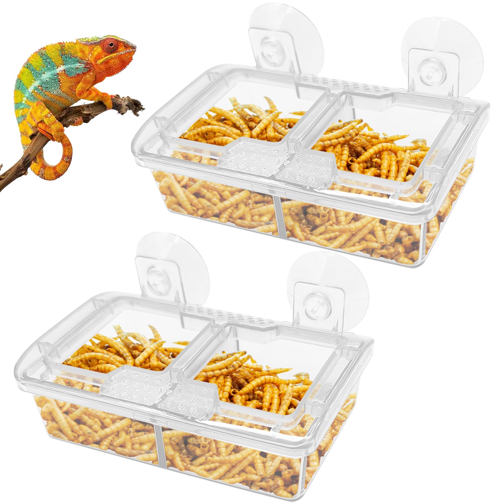 Reptile Feeder Bowl with Suction Cup – Transparent Dual Compartment Anti-Escape Live Worm Insect Feeder for Gecko Chameleon Lizard Bearded Dragon
