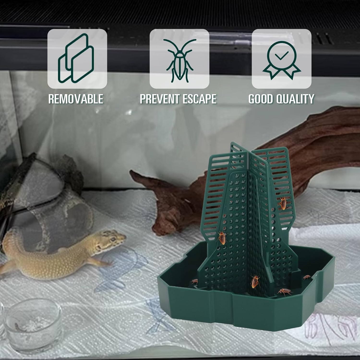 Reptile Insect Feeder Bowl with Climbing Column | Chameleon, Gecko & Lizard Bug Dish