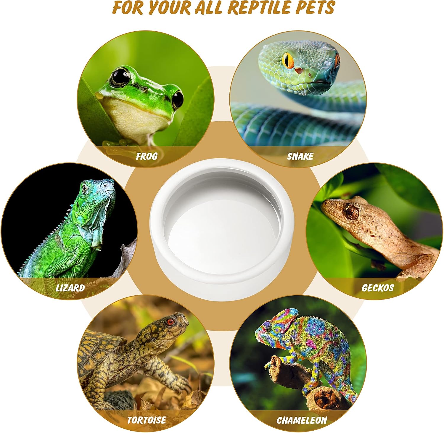PawPlayHub Ceramic Anti-Escape Reptile Food & Water Dish For Lizard Gecko Bearded Dragon