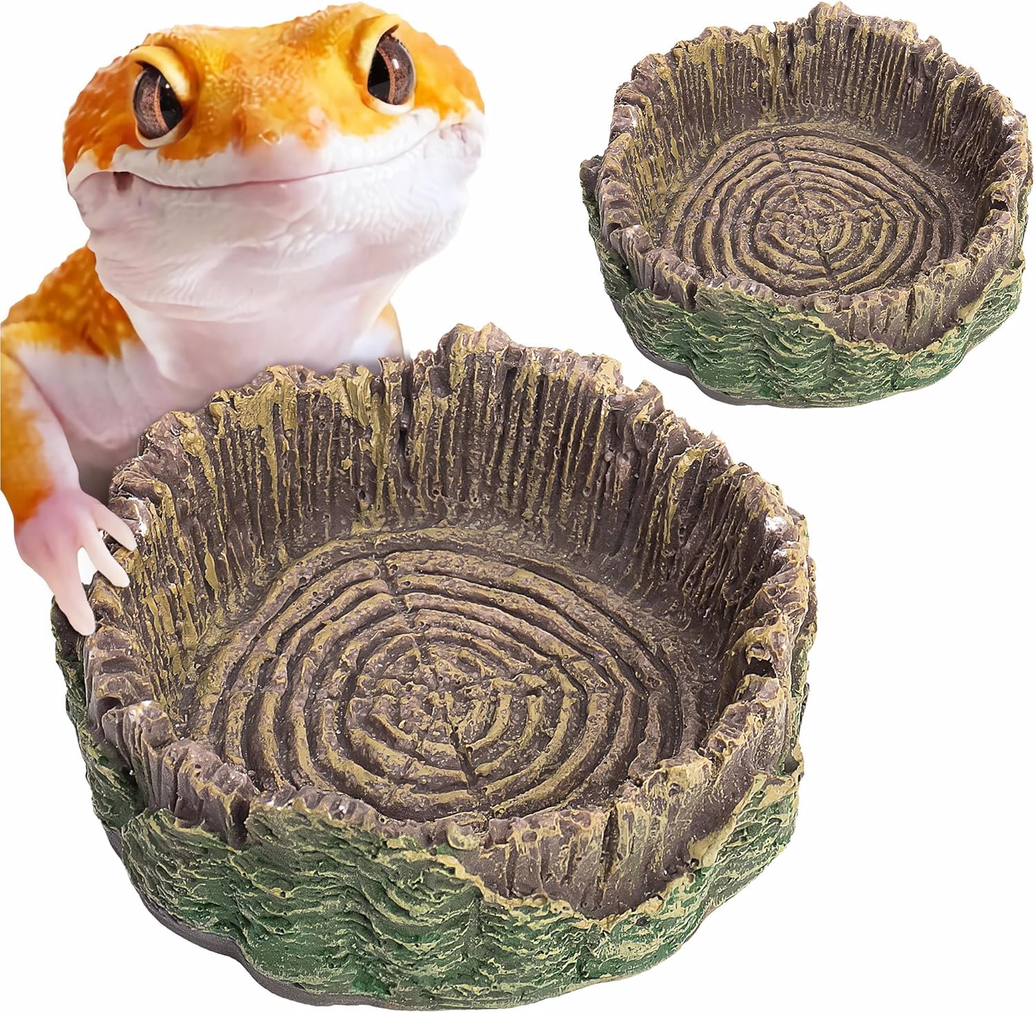 Reptile Water Dish & Food Bowl – Small Resin Shallow Feeding Bowl for Hermit Crab Lizard Gecko Turtle Tank, 2 Pack