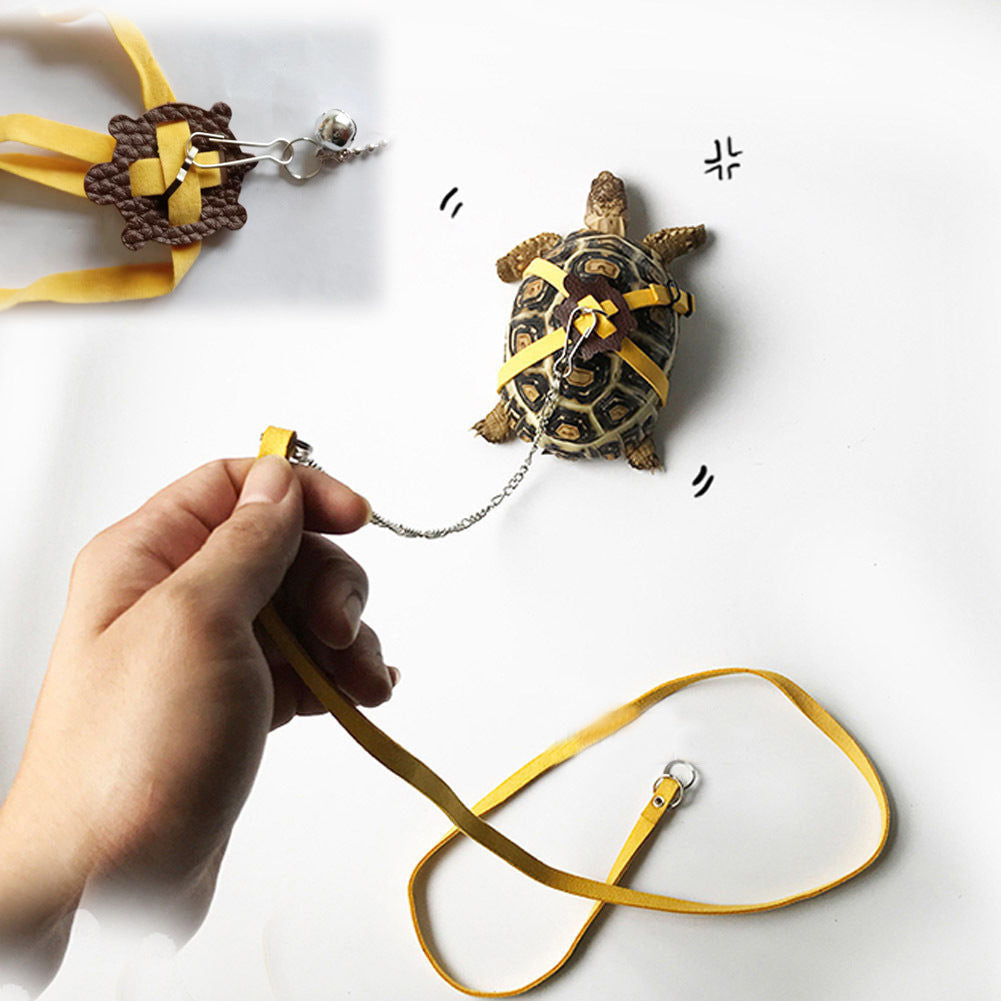 Turtle harness and leash set, tortoise walking gear, reptile outdoor leash kit