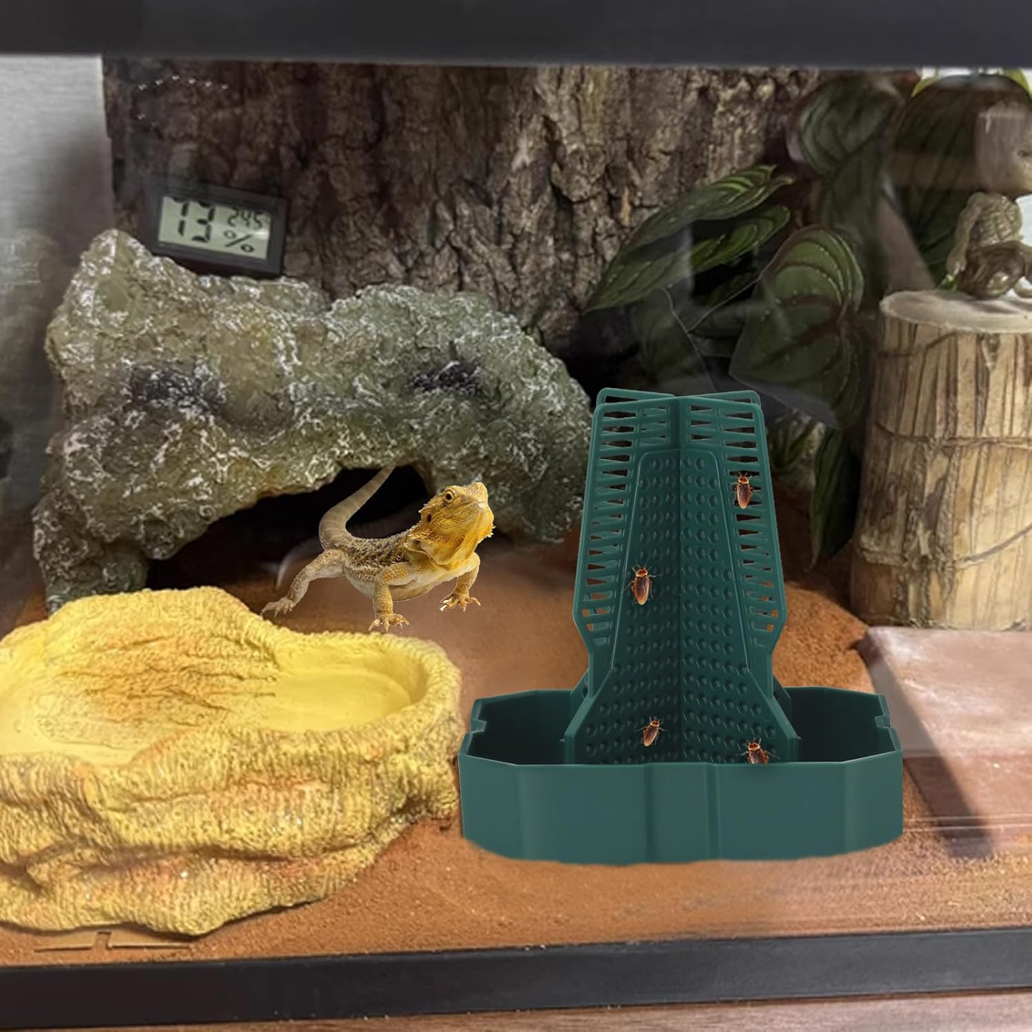 Green plastic reptile feeding station with escape-proof holes, holding crickets, placed in a realistic terrarium environment with a bearded dragon, hideout, and humidity gauge, ideal for keeping feeder insects contained