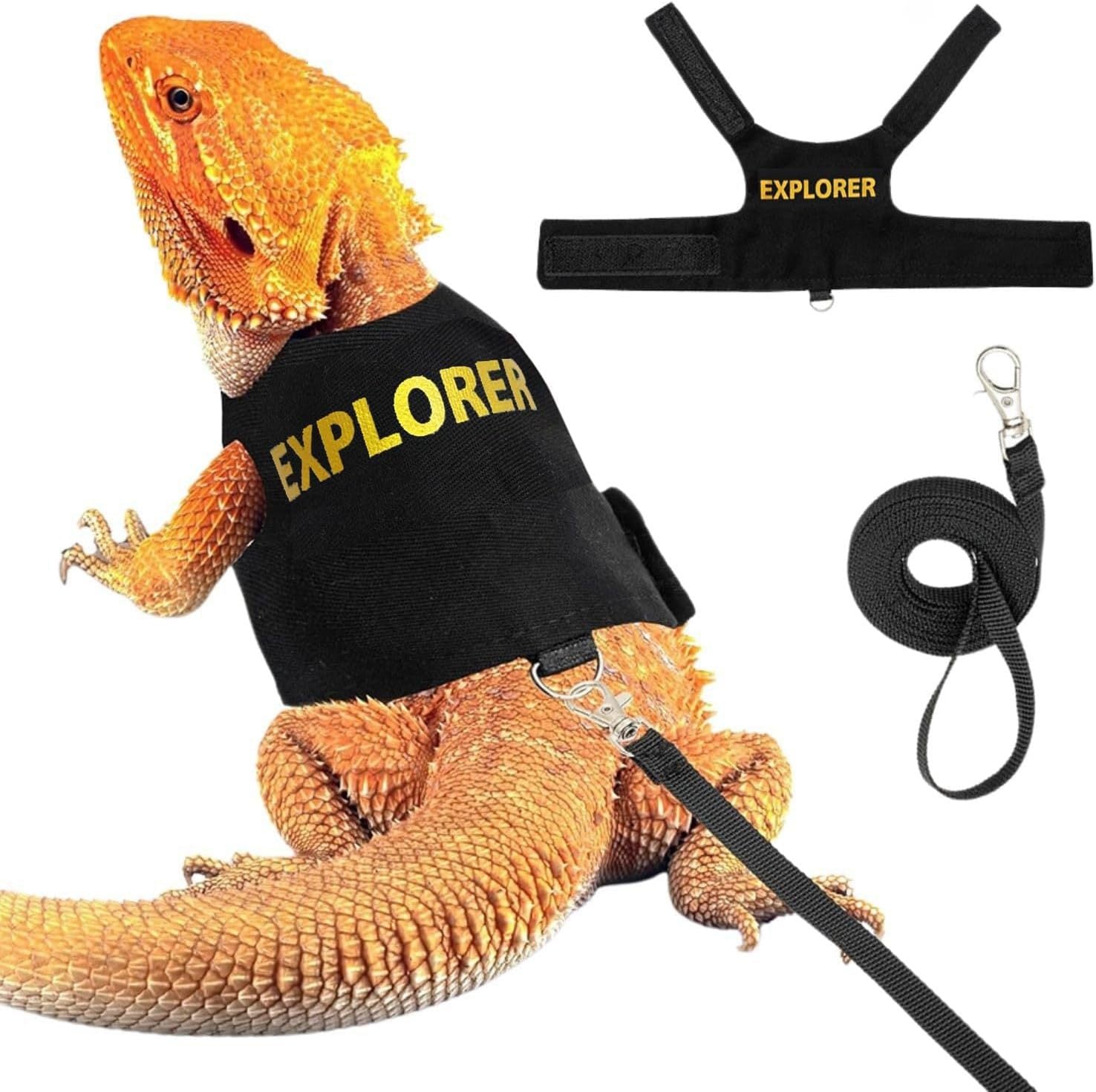 PawPlayHub Bearded Dragon Harness & Reptile Leash – Adjustable Reptile Vest for Lizards, Geckos, Chameleons & Iguanas