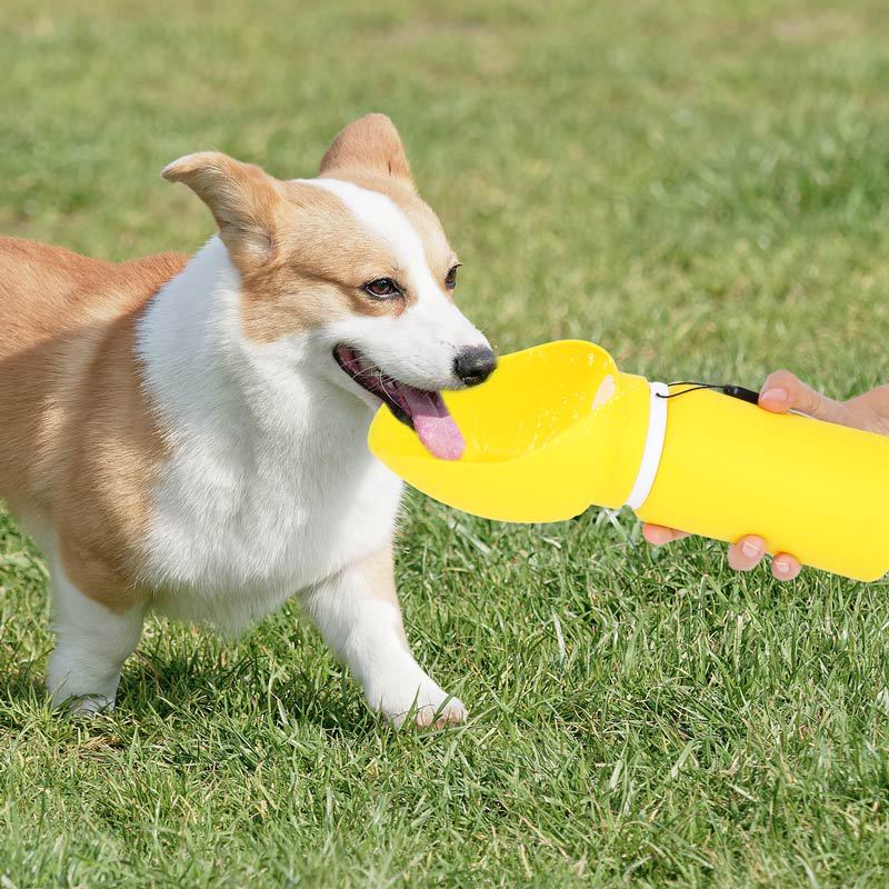 Foldable Silicone Dog Water Bottle - Leak-Proof Portable Pet Travel Water Dispenser for Outdoor Walks