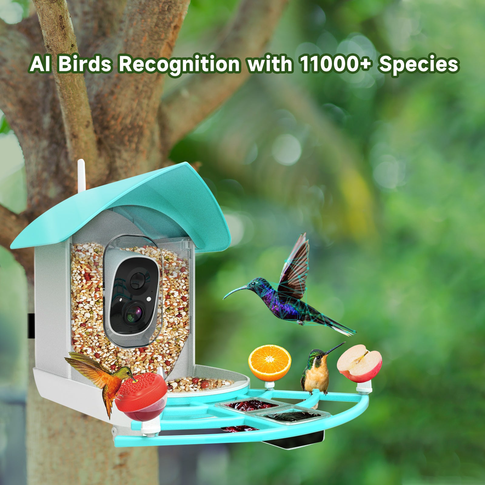 PawPlayHub Solar Smart Bird Feeder Camera AI Bird Recognition Waterproof Outdoor Feeder