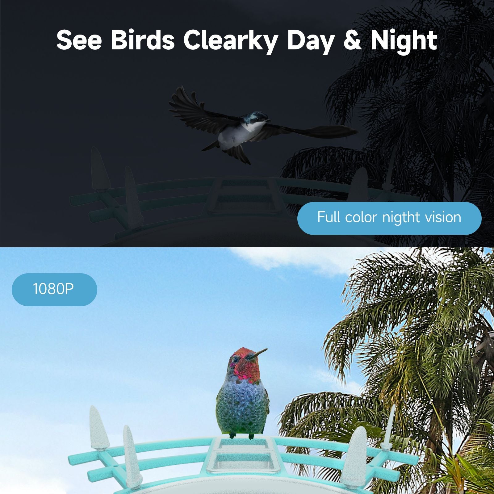 PawPlayHub Solar Smart Bird Feeder Camera AI Bird Recognition Waterproof Outdoor Feeder