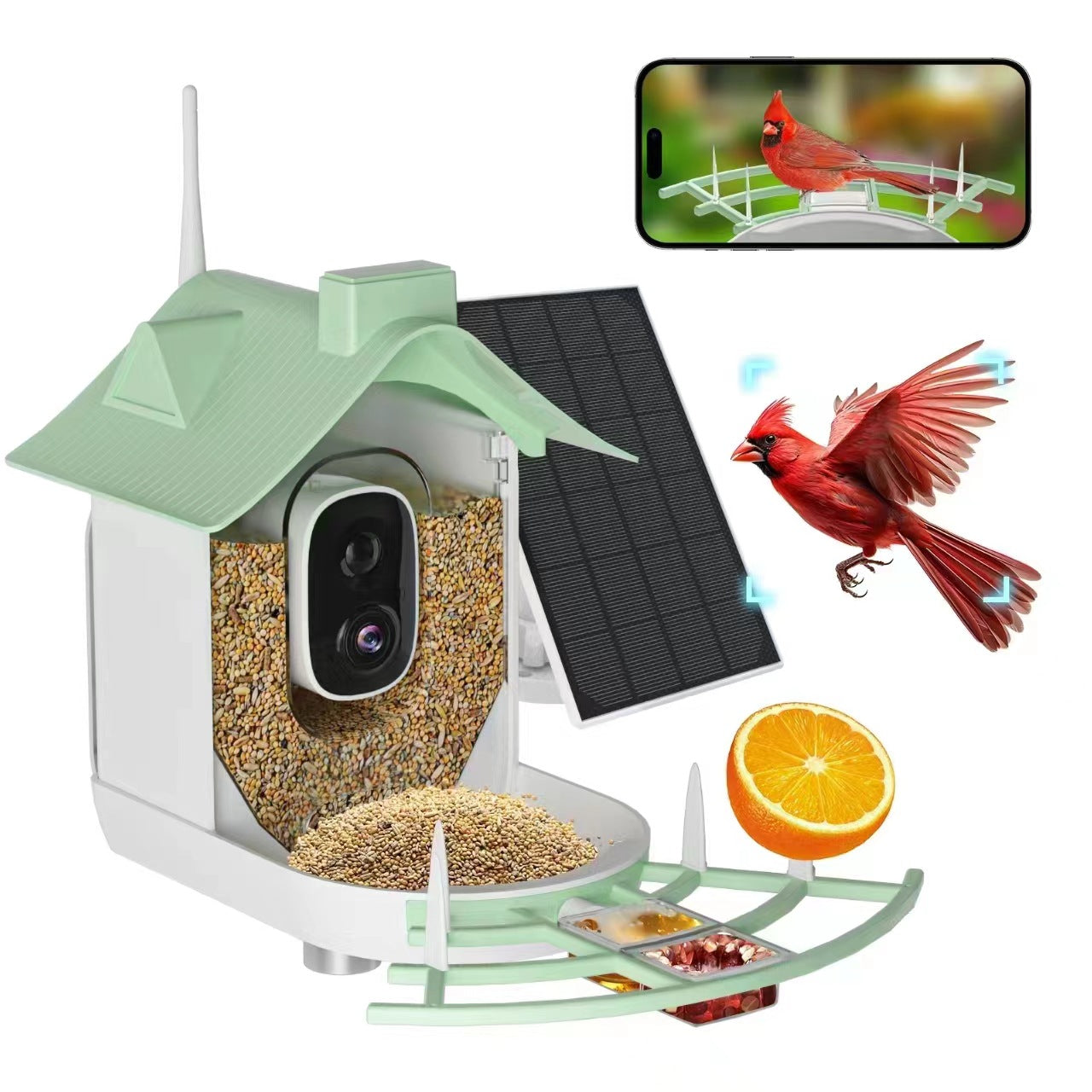 PawPlayHub Solar Smart Bird Feeder Camera AI Bird Recognition Waterproof Outdoor Feeder