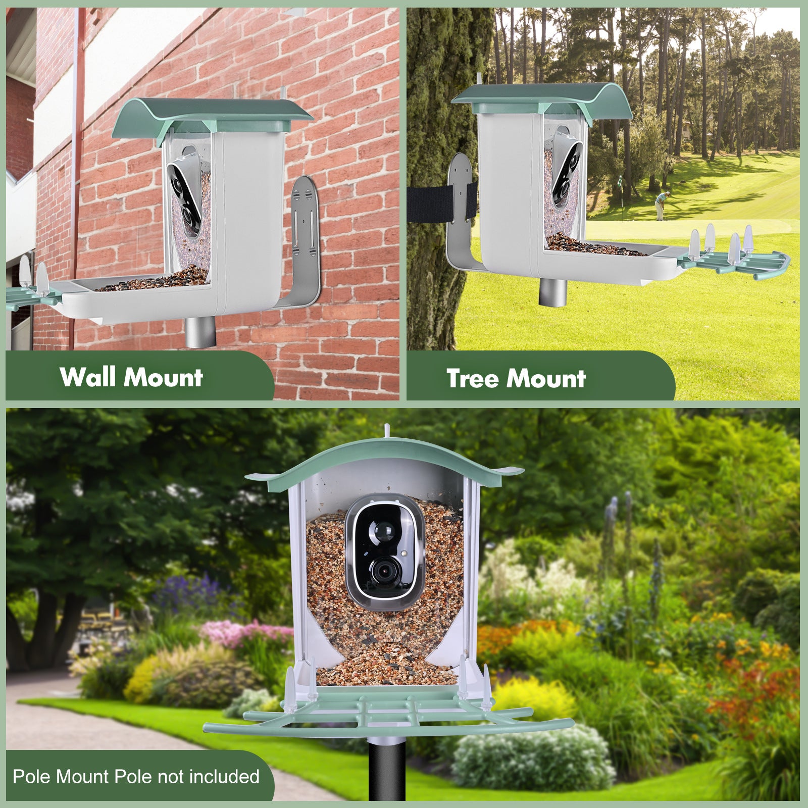 PawPlayHub Solar Smart Bird Feeder Camera AI Bird Recognition Waterproof Outdoor Feeder