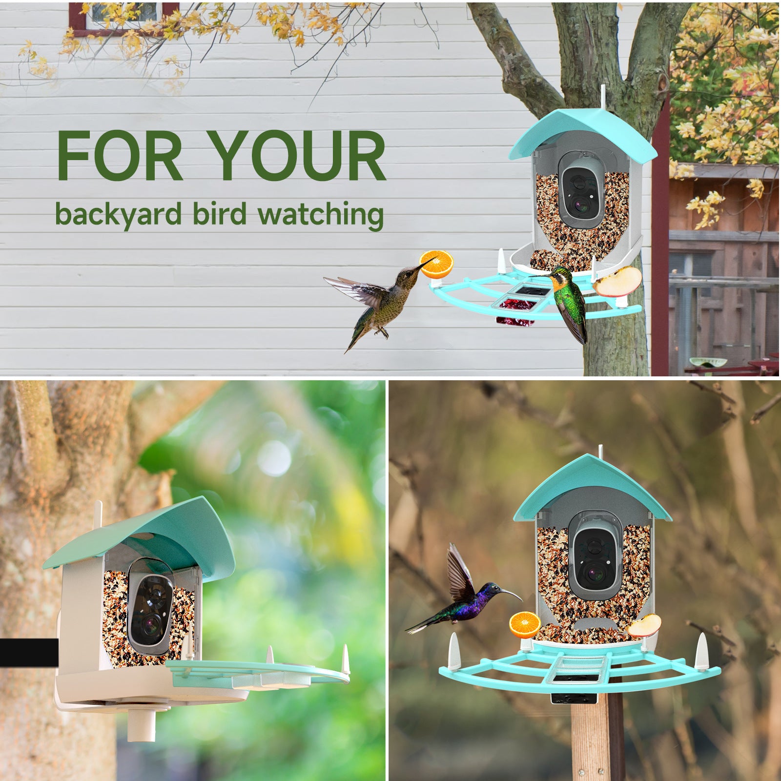 PawPlayHub Solar Smart Bird Feeder Camera AI Bird Recognition Waterproof Outdoor Feeder