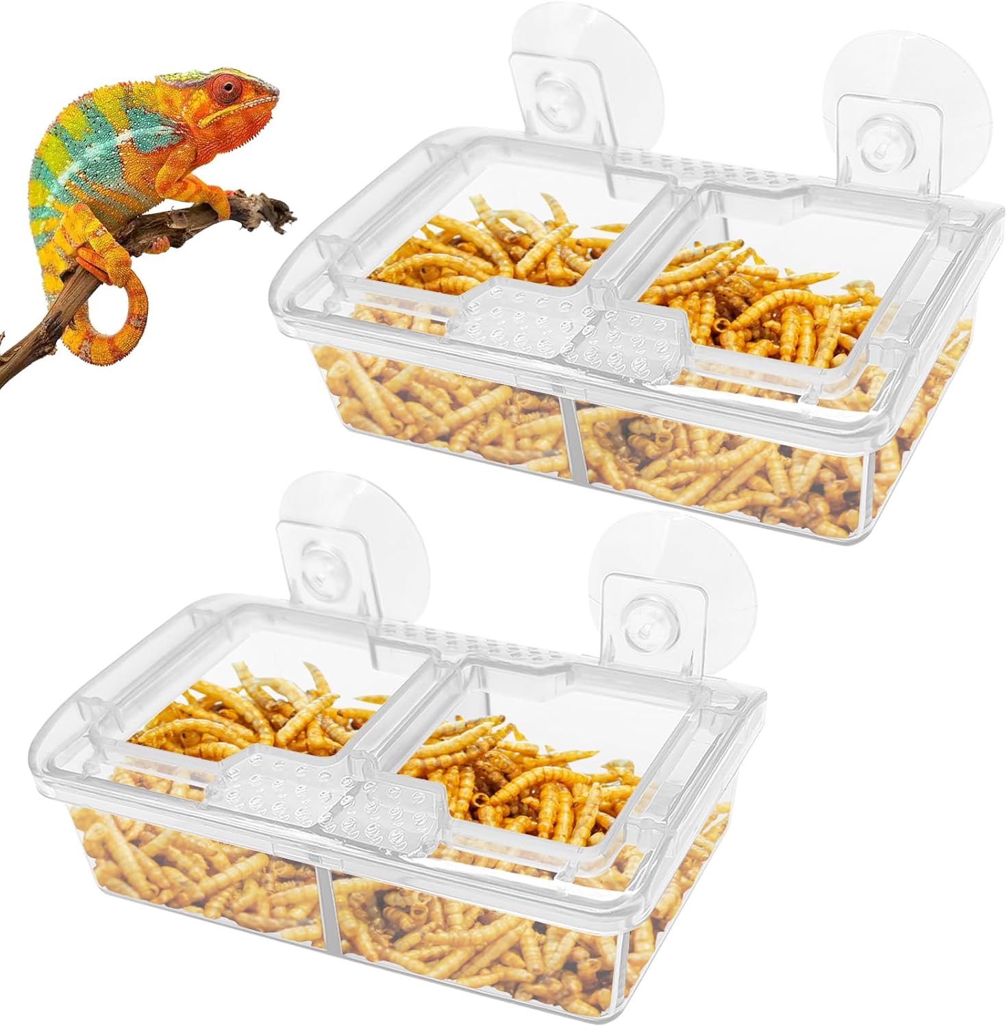 Two double-compartment clear reptile feeders with suction cups, filled with mealworms, shown with a chameleon, designed as no-escape feeding dishes for lizards, geckos, and chameleons
