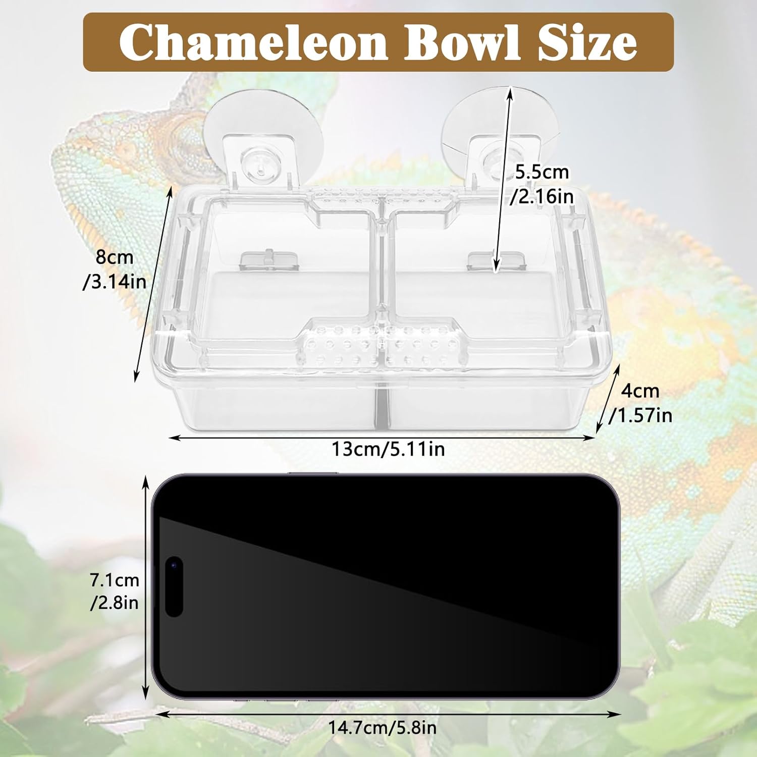 Detailed size specifications of a 13cm clear reptile feeding dish with two compartments and suction cups, including width, height, and suction cup dimensions, ideal for chameleons, geckos, and lizards