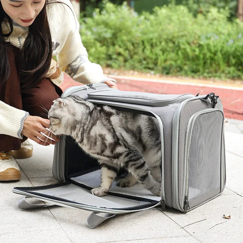 Portable Dog Cat Carrier Bag Soft Side Backpack Pet Carriers Dog Travel Bags Airline Approved Transport Outgoing Pets Handbag Cat Backpack