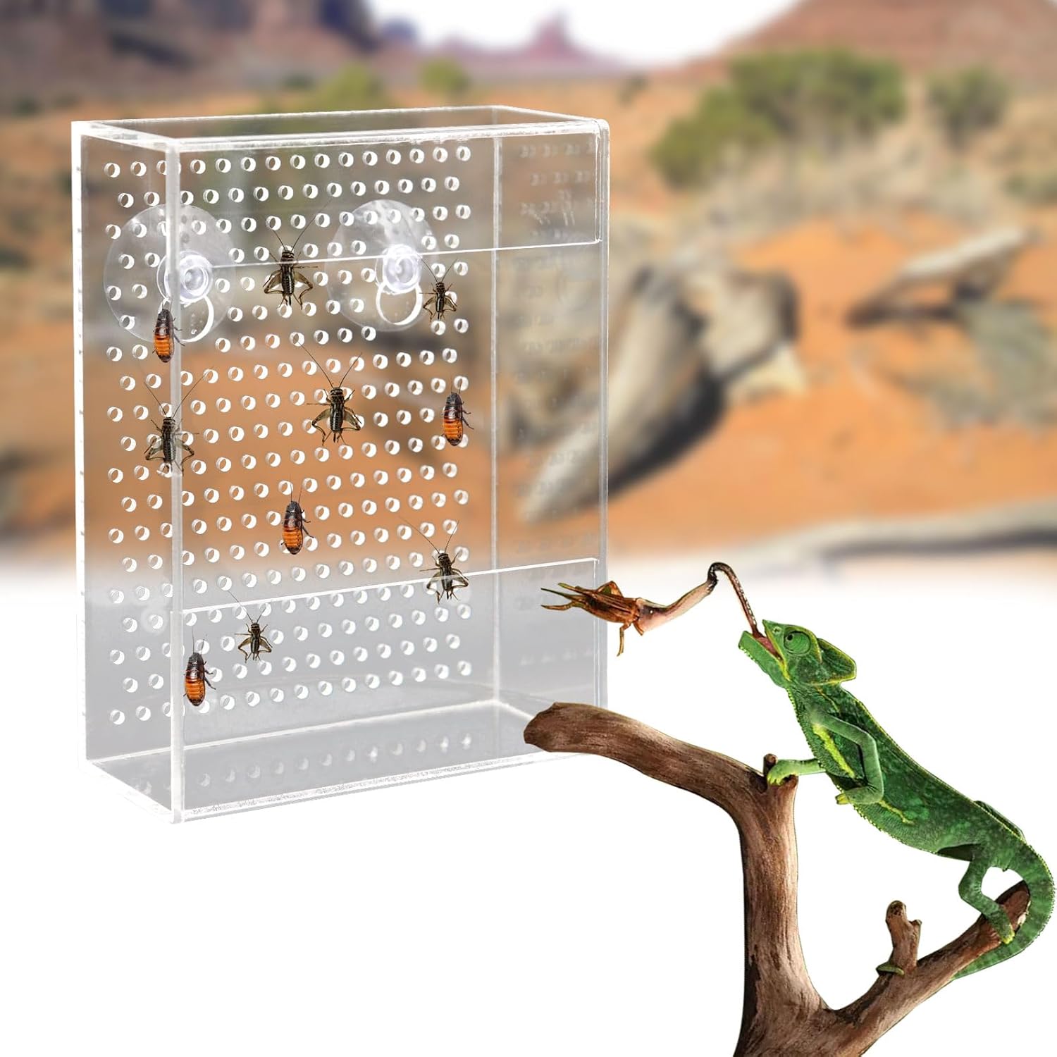 Transparent acrylic reptile feeding box with suction cups and ventilation holes, wall-mounted live insect feeder for chameleons, lizards, and geckos