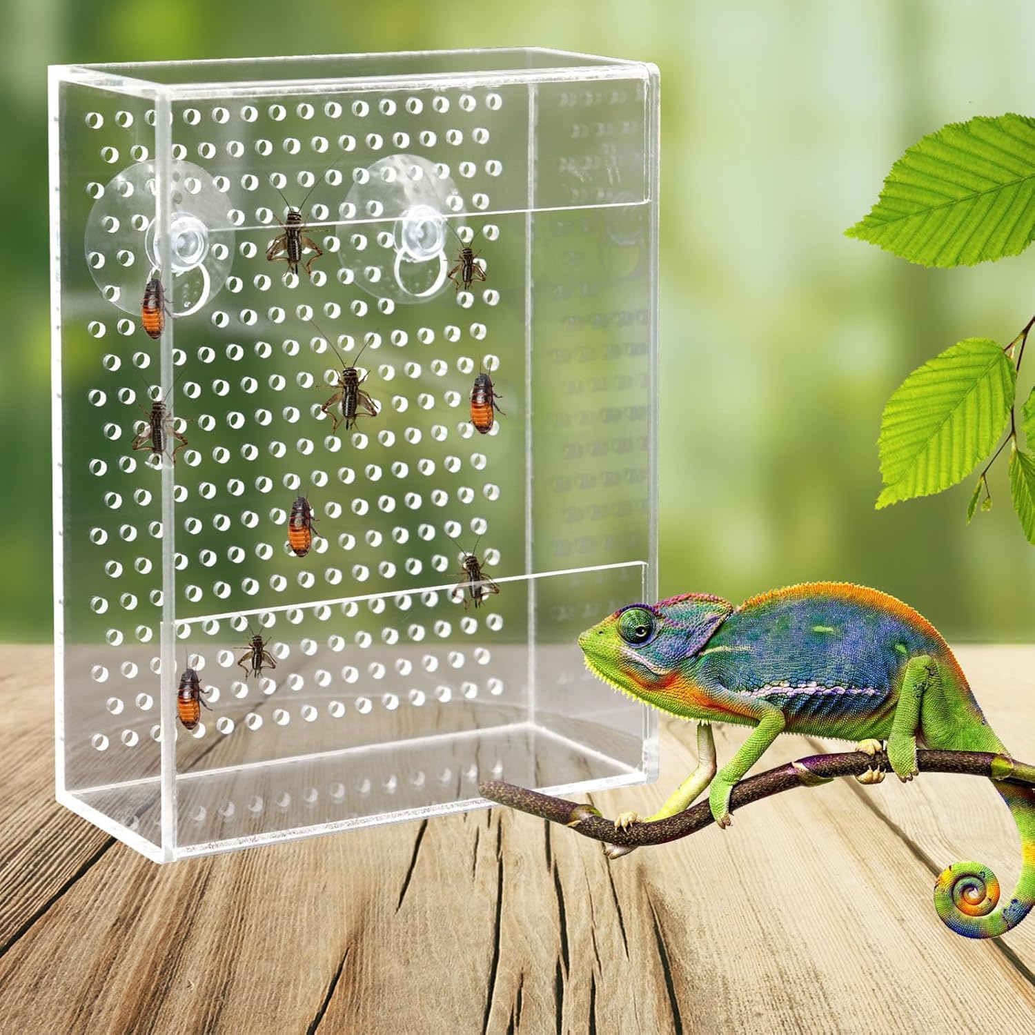 Ventilated acrylic reptile live food feeder box with suction cups, wall-mounted design for terrariums, holds crickets and worms for lizards, transparent design lets reptiles see and hunt food