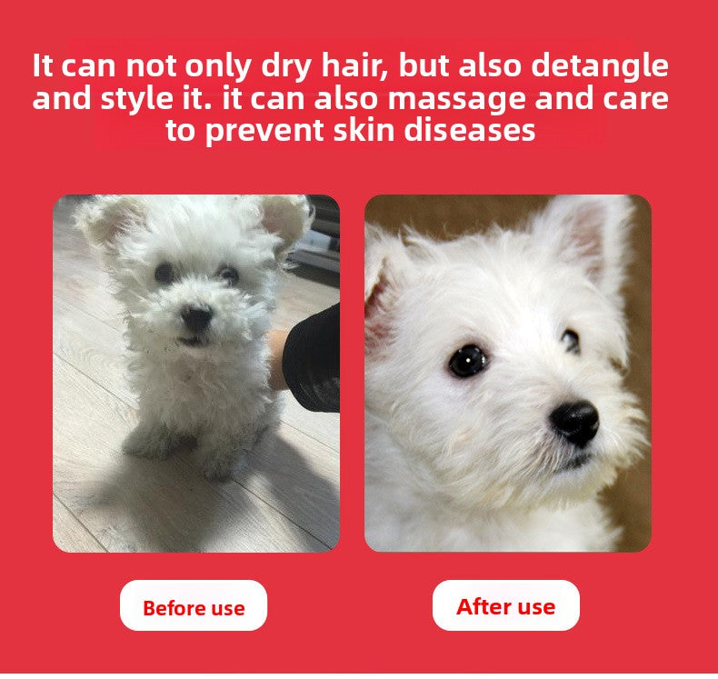 2-in-1 Pet Hair Dryer & Grooming Comb – Fast Drying Low Noise Dog & Cat Blow Dryer Brush