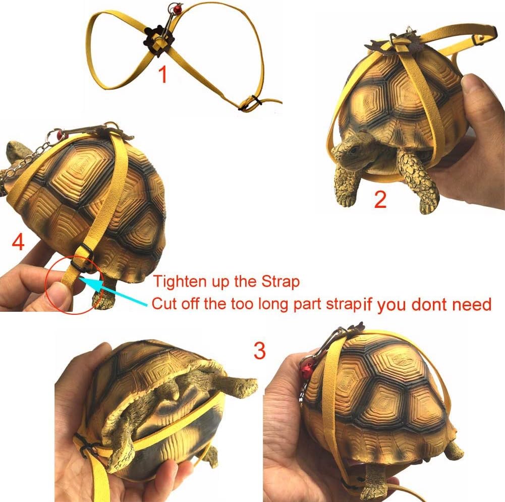 Step-by-step installation guide for adjustable turtle harness leash: how to put on and tighten the strap, with tips on cutting excess length for a secure fit on tortoises