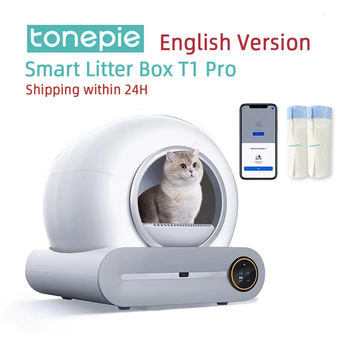 Litter Box