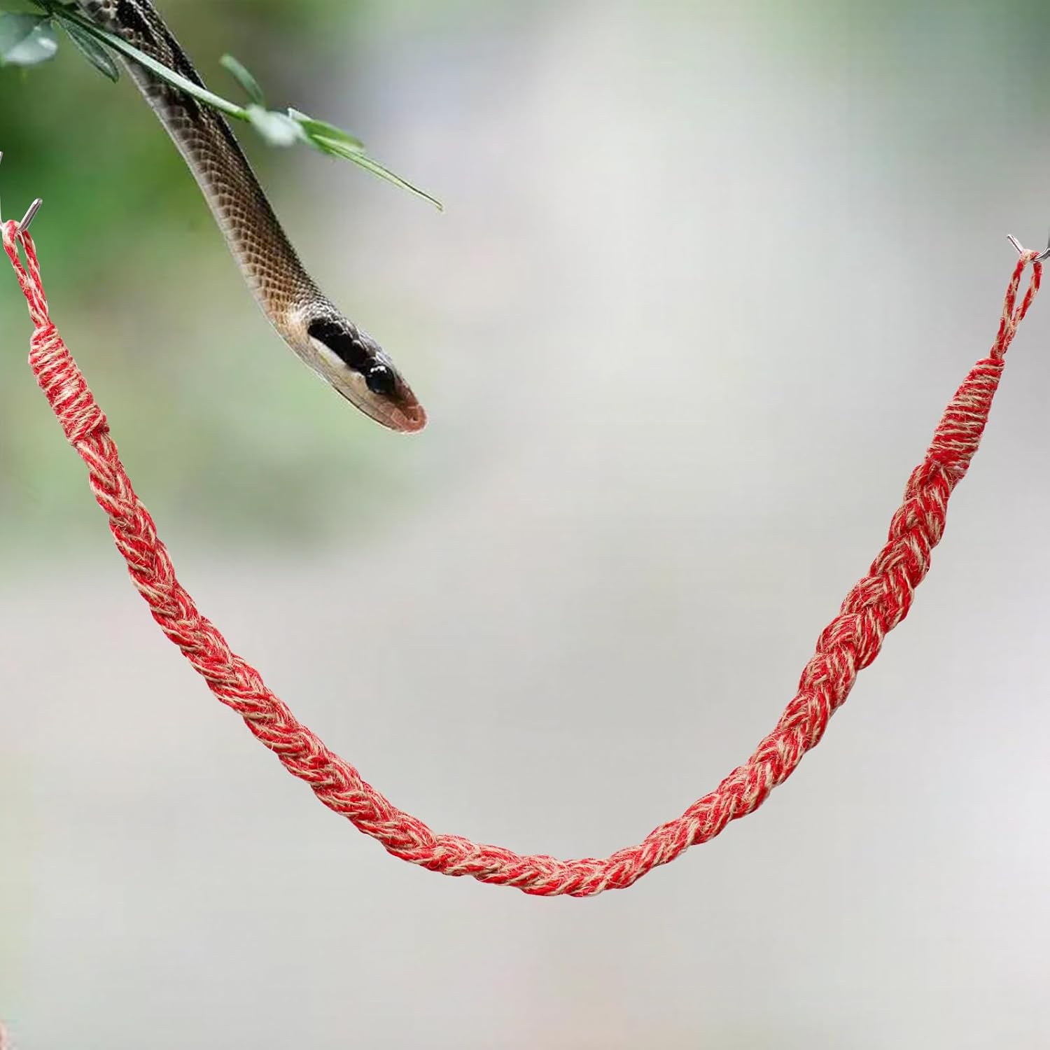 Reptile Climbing Vine Toy – Flexible Jungle Rope Ladder for Lizards, Geckos & Hermit Crabs
