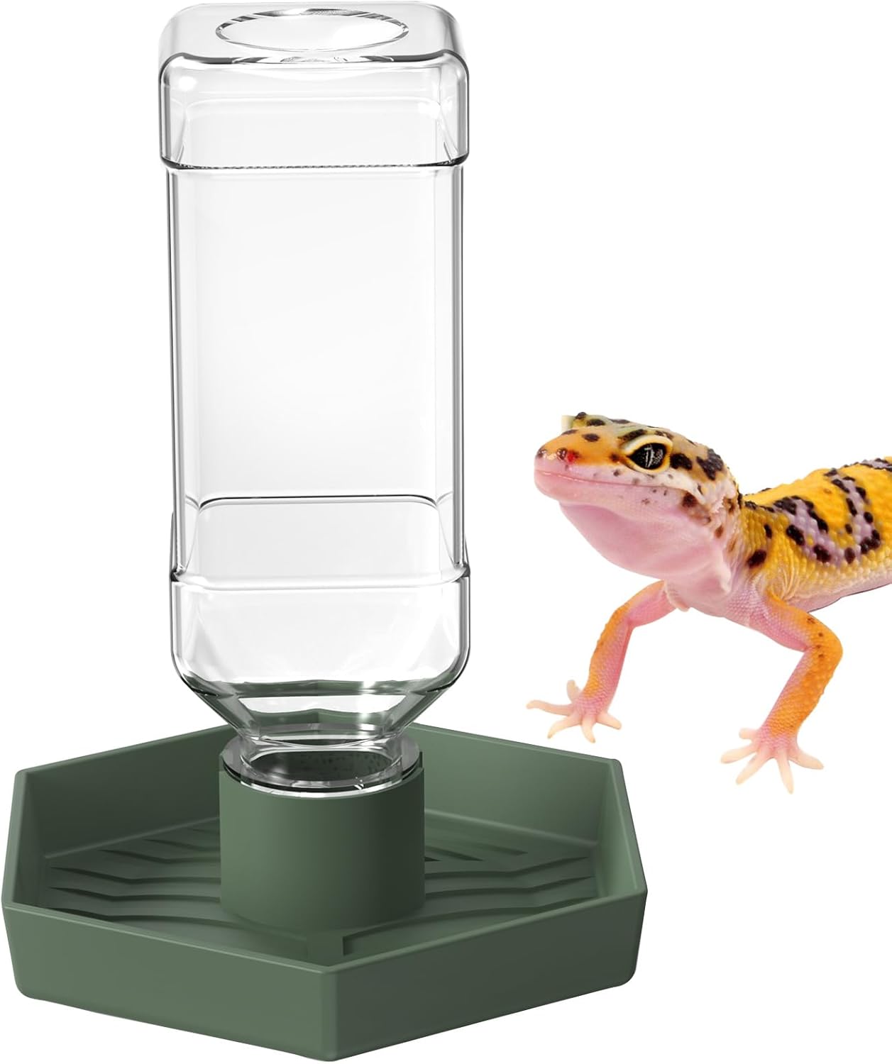 PawPlayHub™ Automatic Reptile Water Dispenser | BPA-Free 250ml Water Bowl for Turtles & Lizards