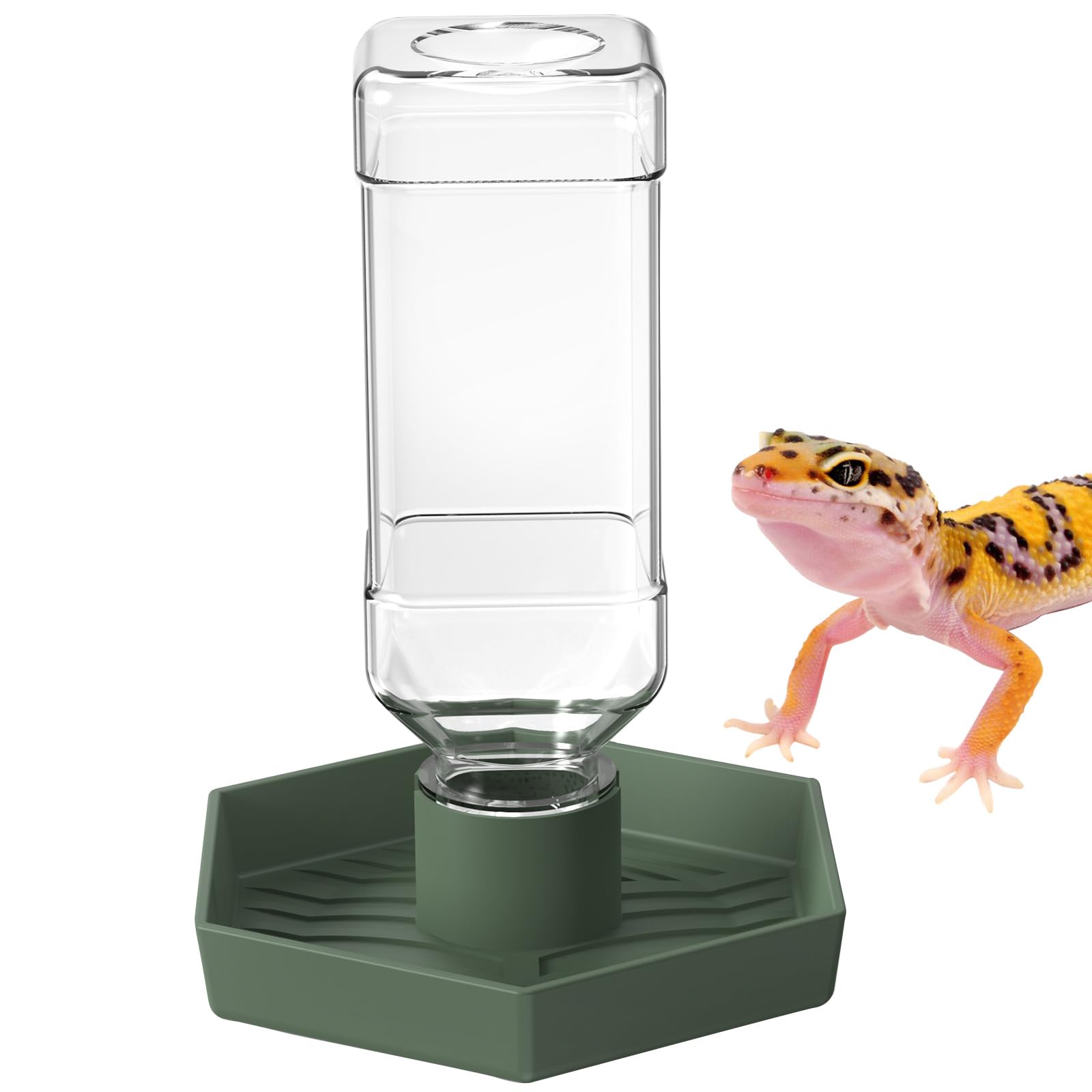 PawPlayHub™ Automatic Reptile Water Dispenser | BPA-Free 250ml Water Bowl for Turtles & Lizards