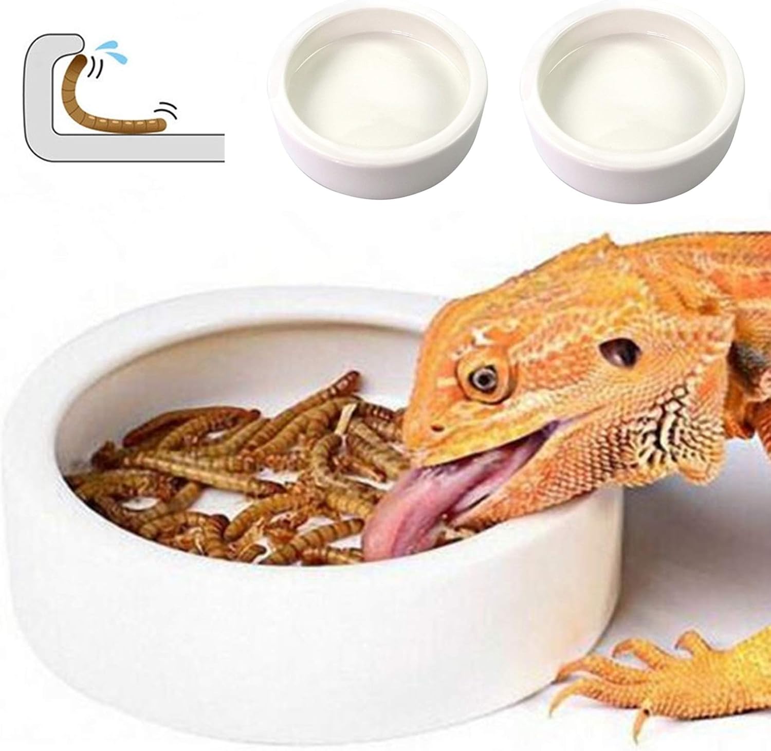 PawPlayHub Ceramic Anti-Escape Reptile Food & Water Dish For Lizard Gecko Bearded Dragon