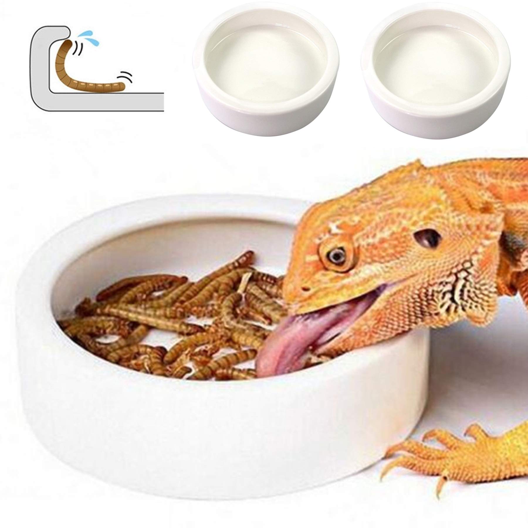 PawPlayHub Ceramic Anti-Escape Reptile Food & Water Dish For Lizard Gecko Bearded Dragon