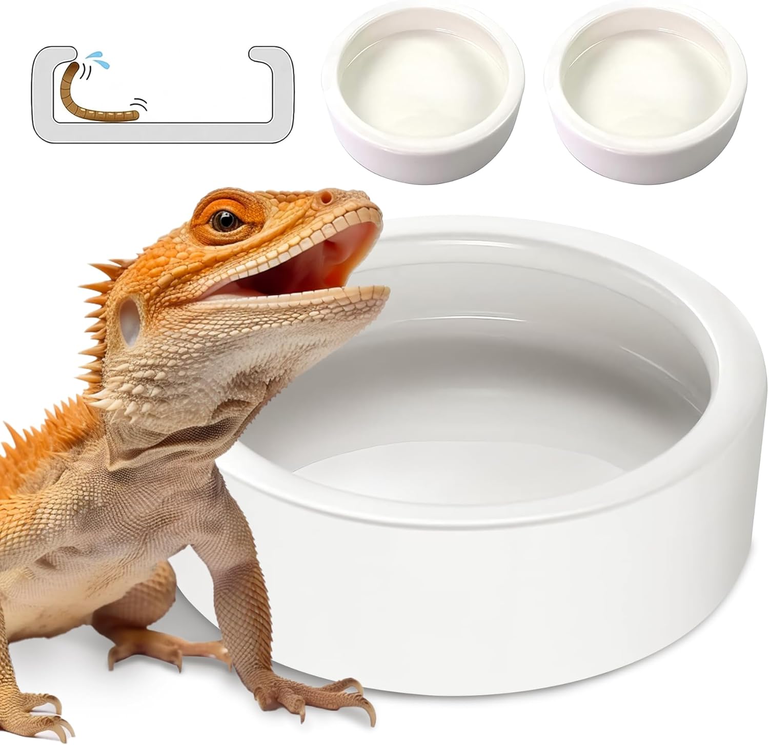 PawPlayHub Ceramic Anti-Escape Reptile Food & Water Dish For Lizard Gecko Bearded Dragon