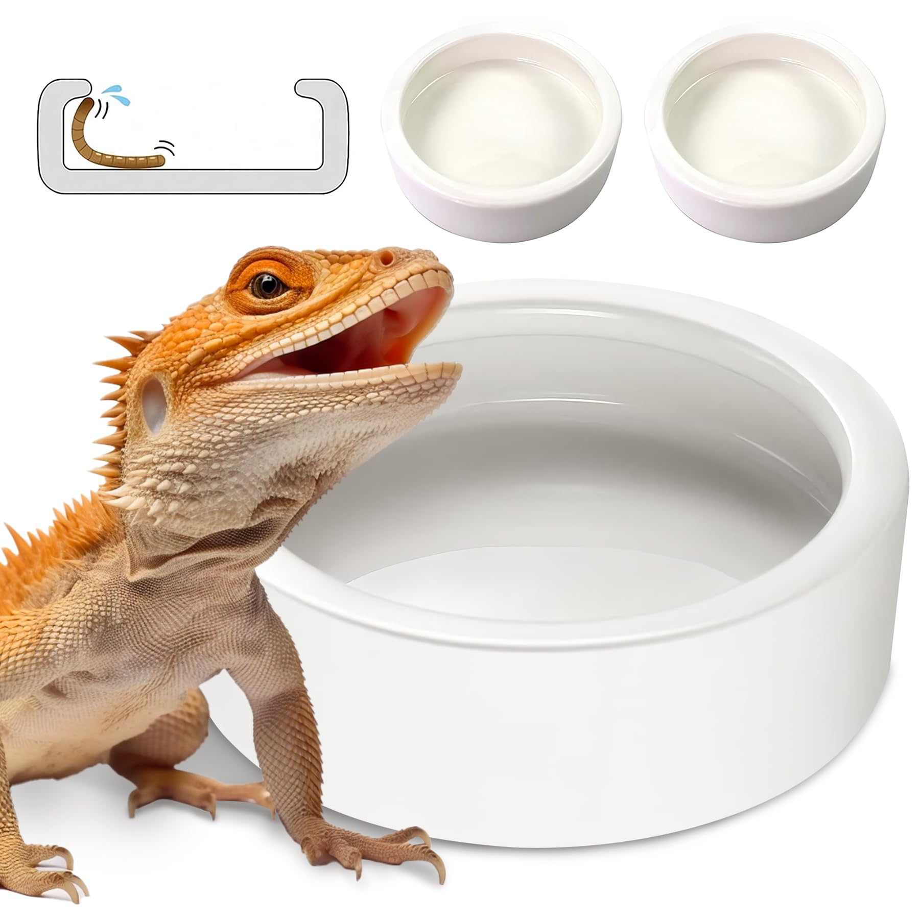 PawPlayHub Ceramic Anti-Escape Reptile Food & Water Dish For Lizard Gecko Bearded Dragon