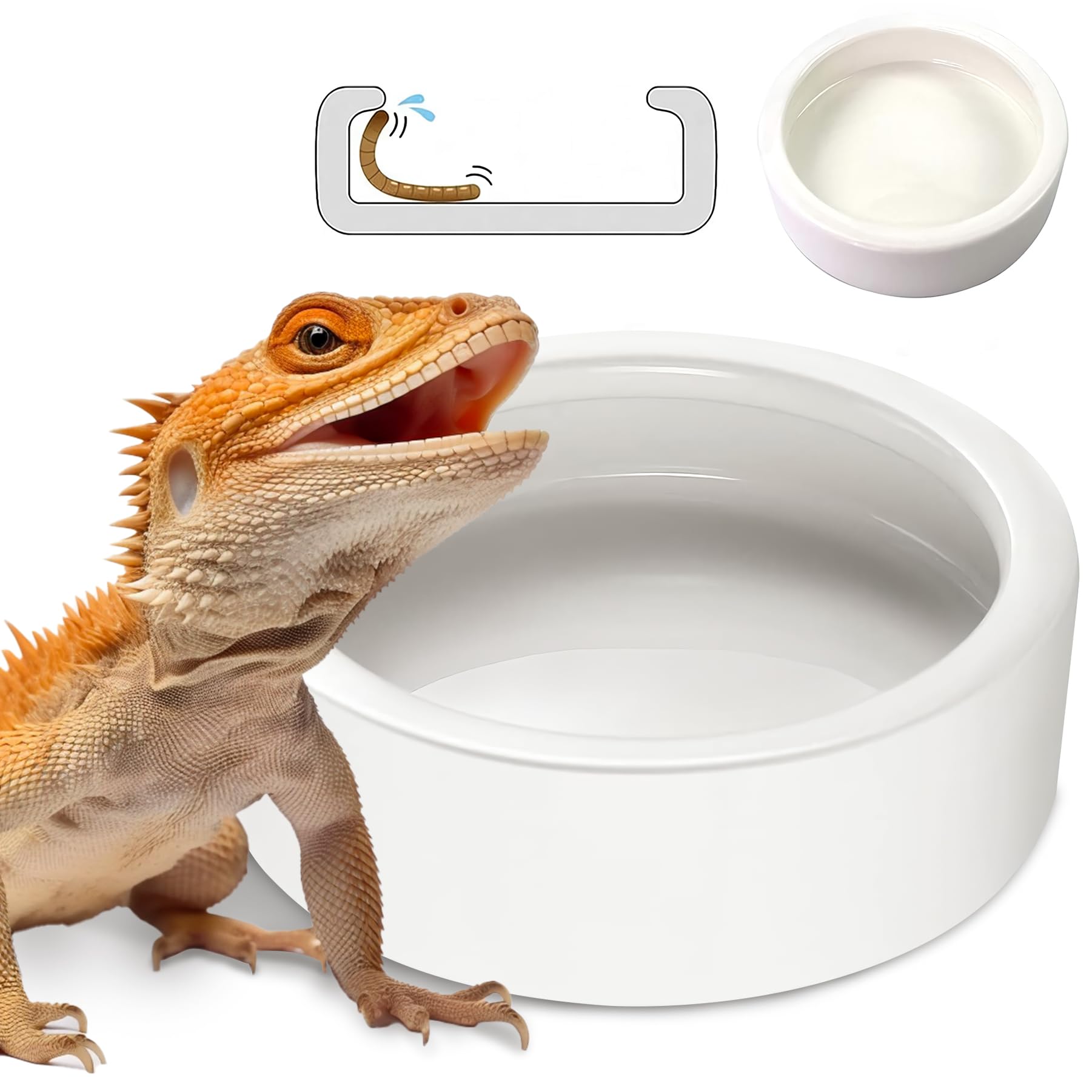 PawPlayHub Ceramic Anti-Escape Reptile Food & Water Dish For Lizard Gecko Bearded Dragon