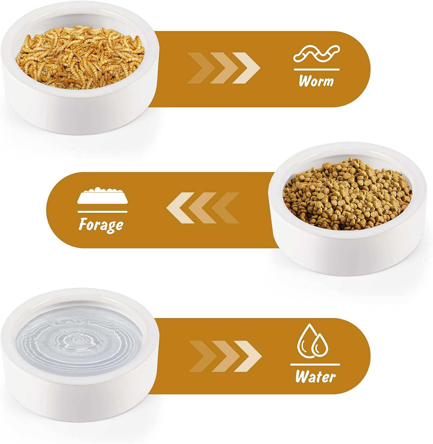PawPlayHub Ceramic Anti-Escape Reptile Food & Water Dish For Lizard Gecko Bearded Dragon