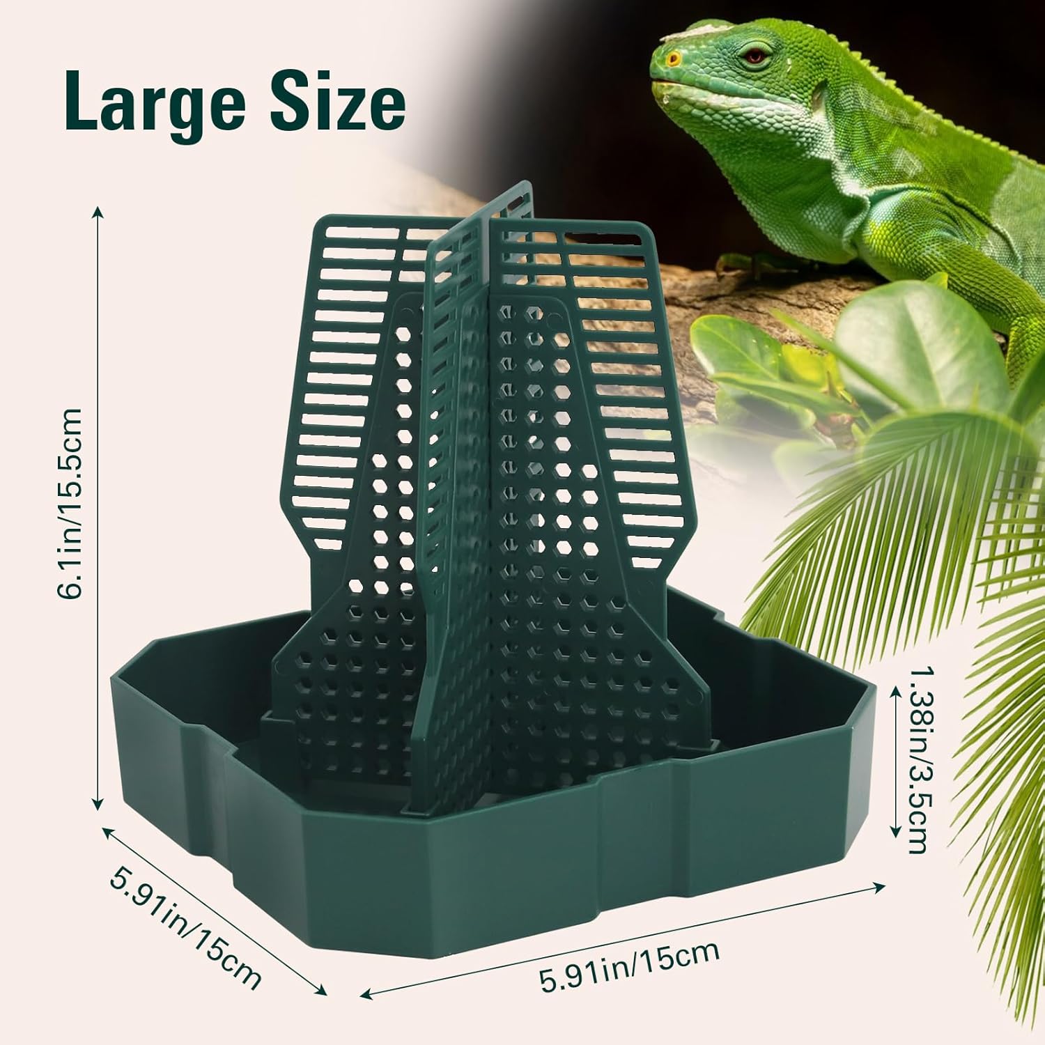 Reptile Insect Feeder Bowl with Climbing Column | Chameleon, Gecko & Lizard Bug Dish
