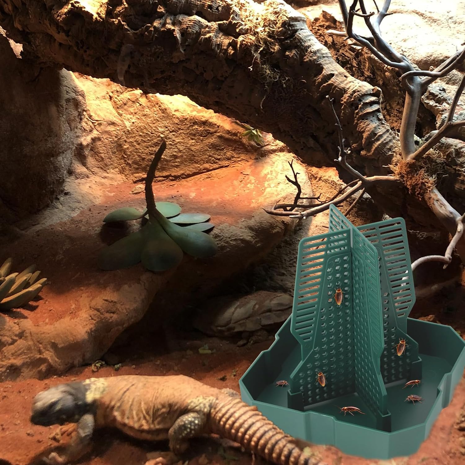 Reptile Insect Feeder Bowl with Climbing Column | Chameleon, Gecko & Lizard Bug Dish