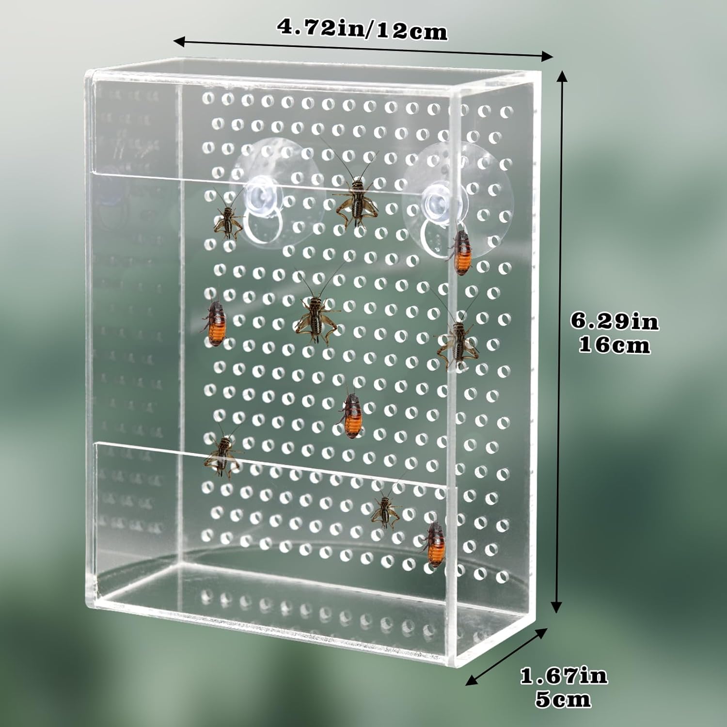 Compact 12×16×5cm acrylic reptile feeder box, ventilated design with secure suction cups, fits most terrariums to hold live crickets, mealworms, and dubia roaches