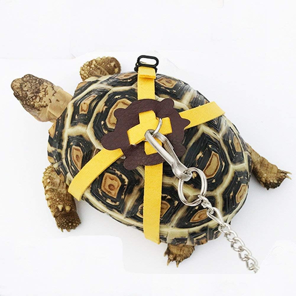 Adjustable turtle harness leash with soft yellow straps and metal chain, designed for small tortoises to walk safely outdoors