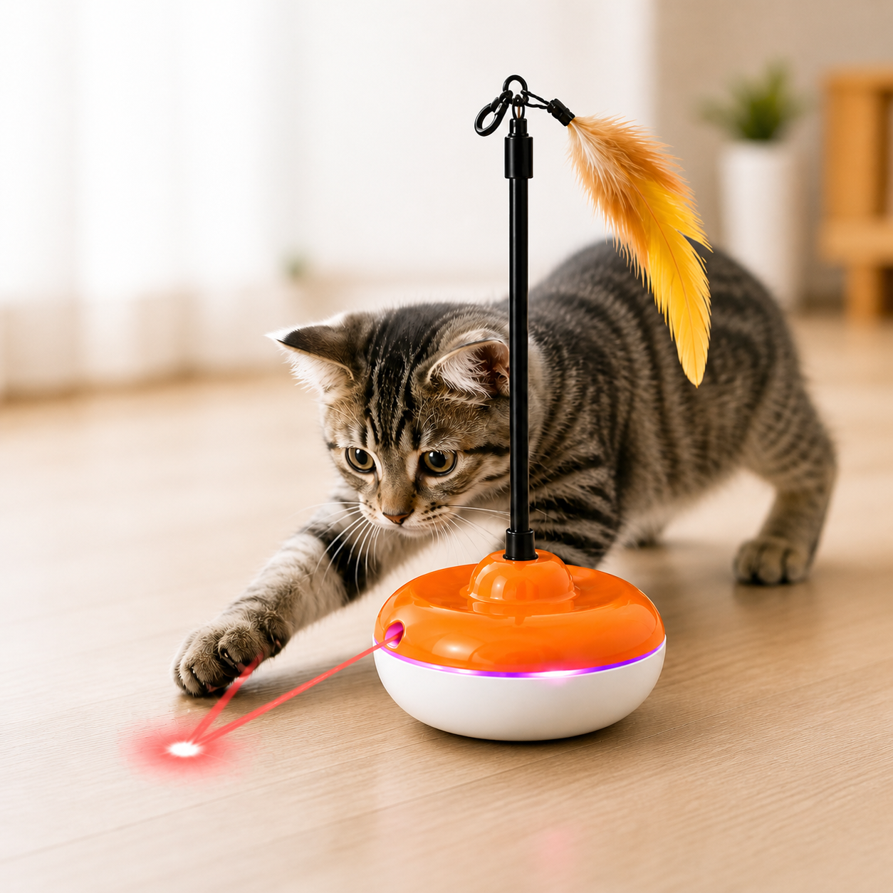 Interactive cat toy with laser and feather for indoor kitten playing