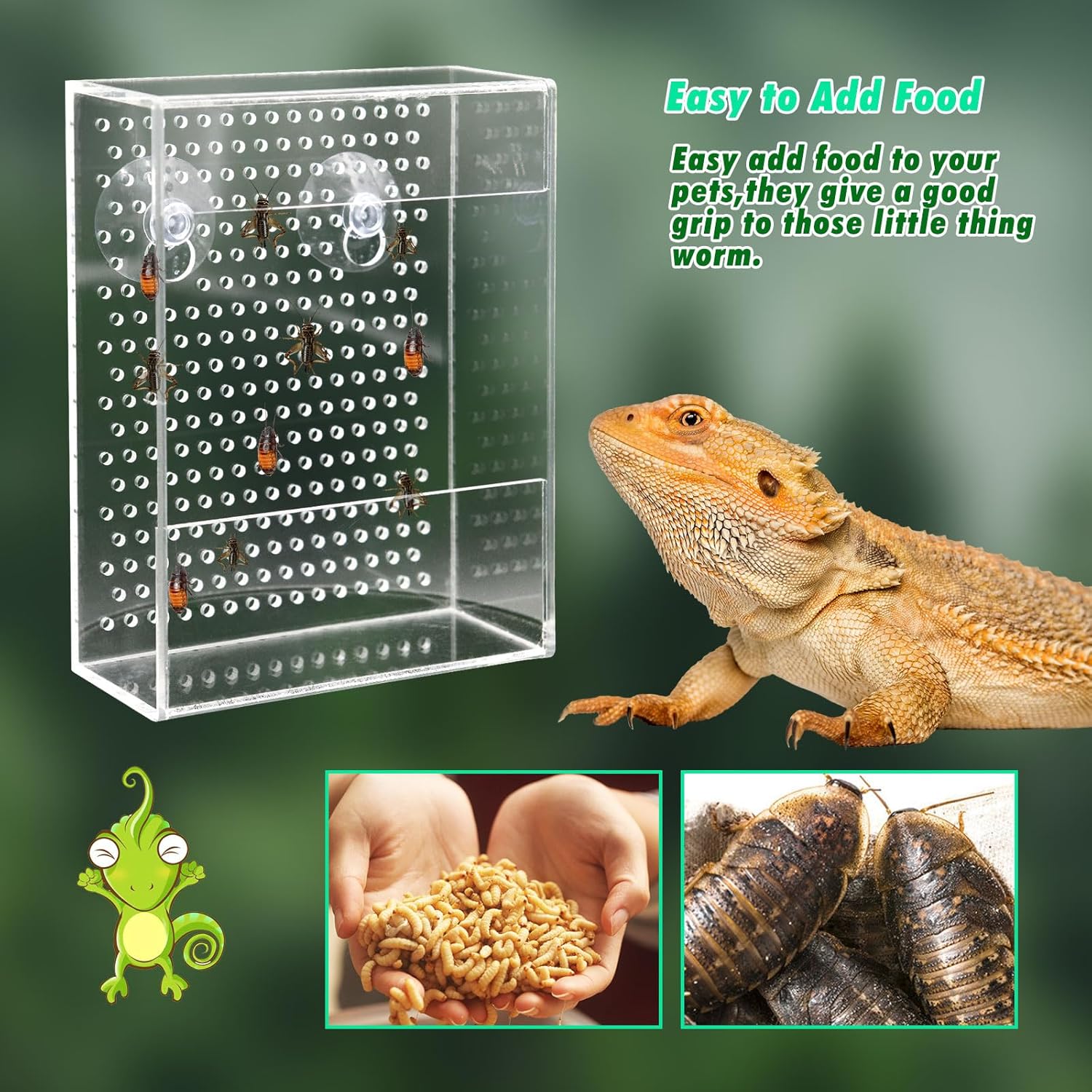 Reptile live food feeder, acrylic feeding box for lizards, easy refill insect feeder