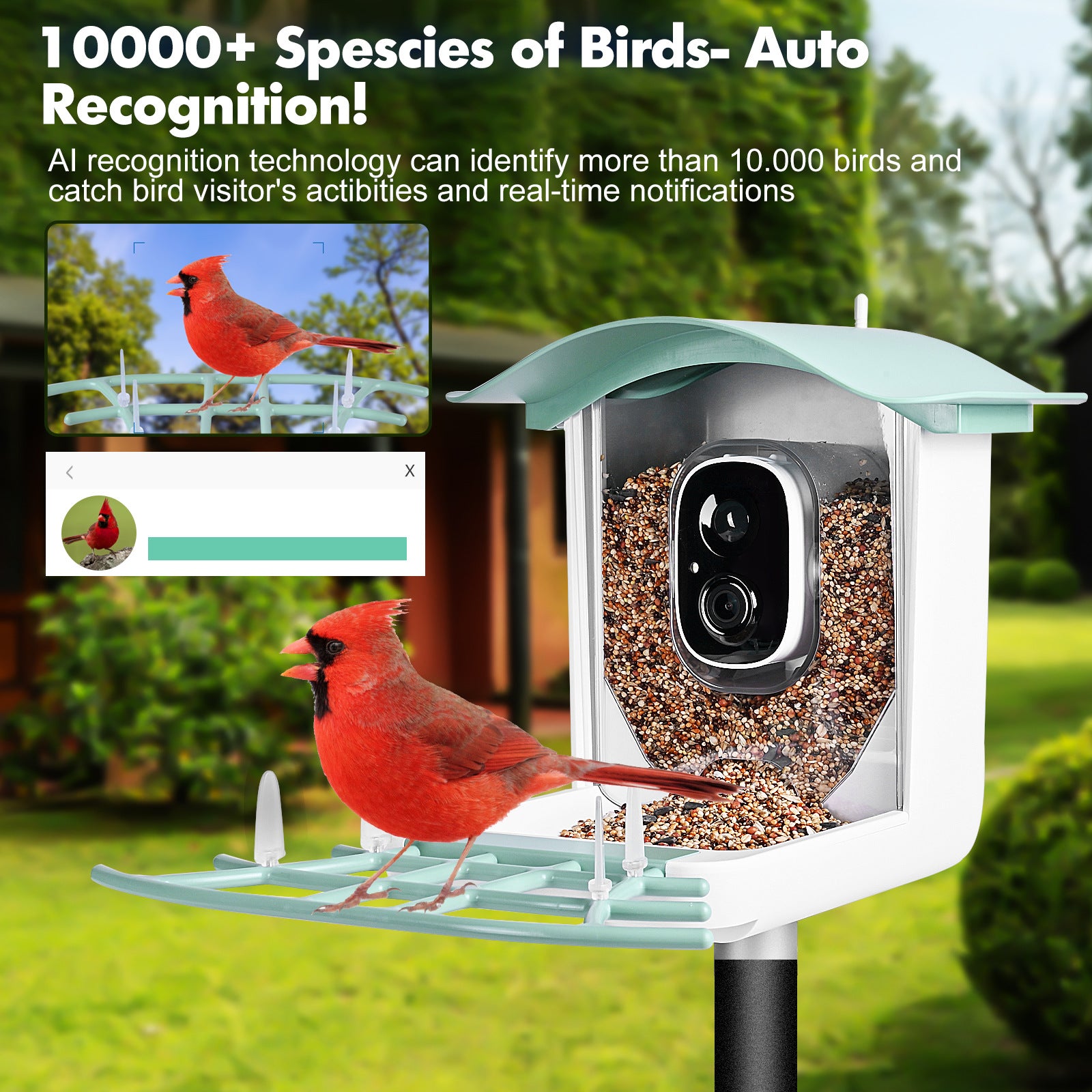 PawPlayHub Solar Smart Bird Feeder Camera AI Bird Recognition Waterproof Outdoor Feeder