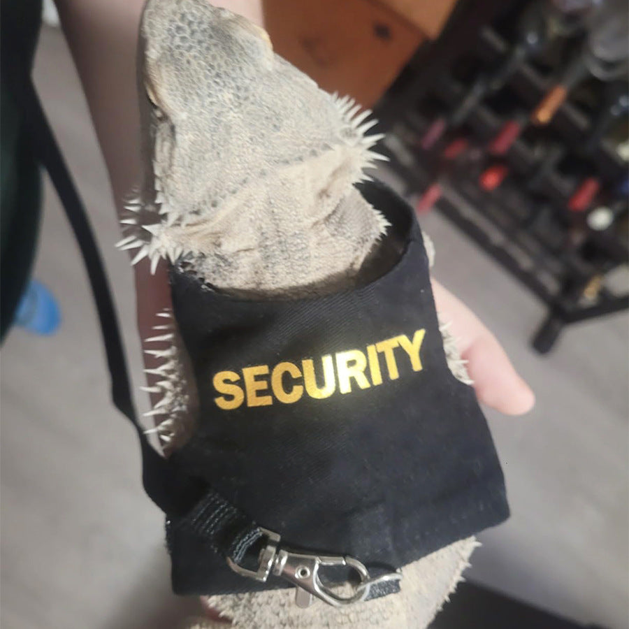 PawPlayHub Bearded Dragon Harness & Reptile Leash – Adjustable Reptile Vest for Lizards, Geckos, Chameleons & Iguanas