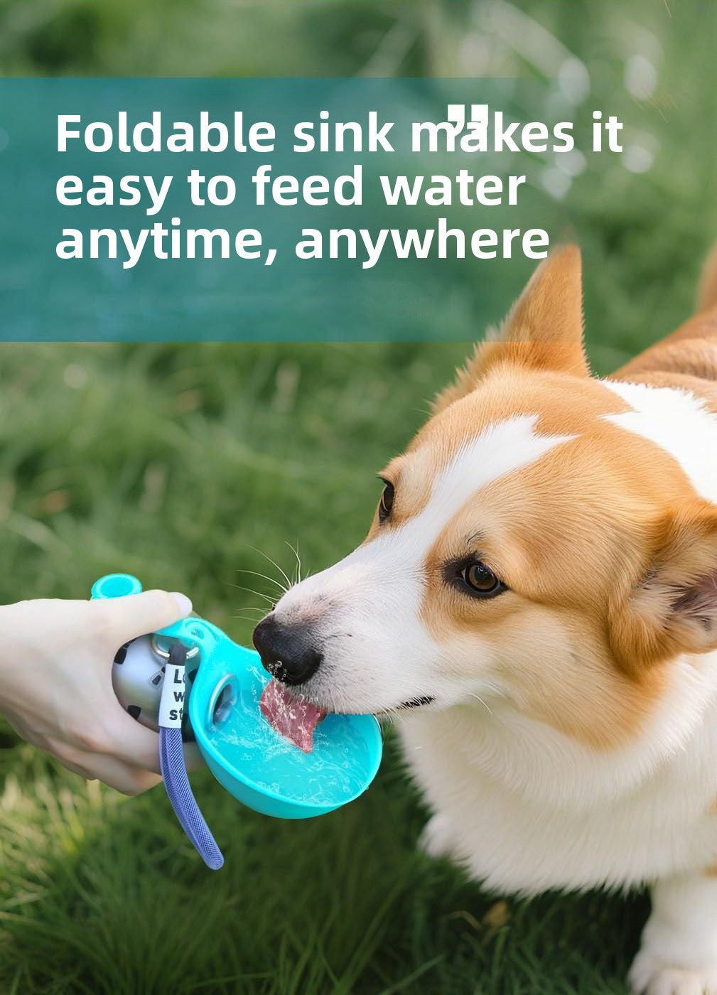 Foldable 304 Stainless Steel Dog Water Bottle Portable Pet Travel Drinking Cup