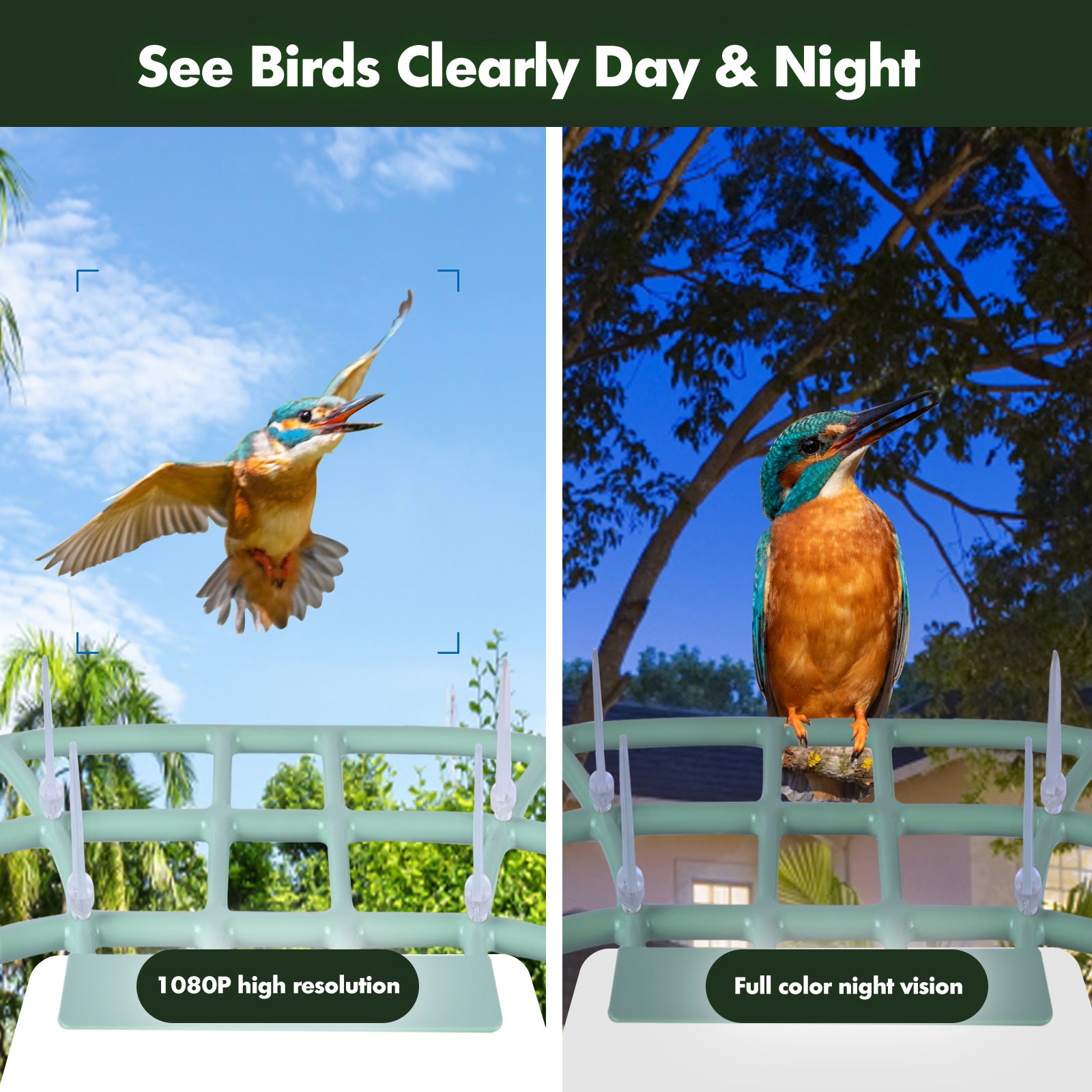 PawPlayHub Solar Smart Bird Feeder Camera AI Bird Recognition Waterproof Outdoor Feeder