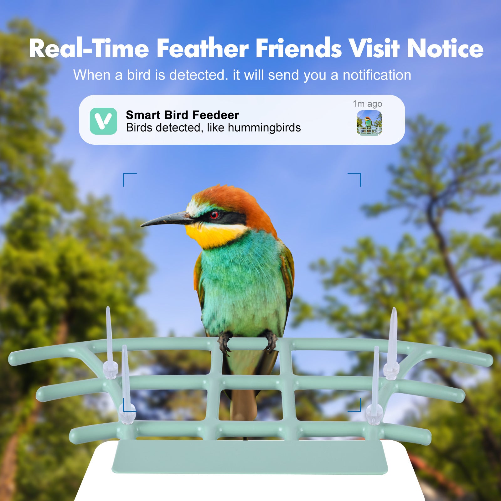PawPlayHub Solar Smart Bird Feeder Camera AI Bird Recognition Waterproof Outdoor Feeder
