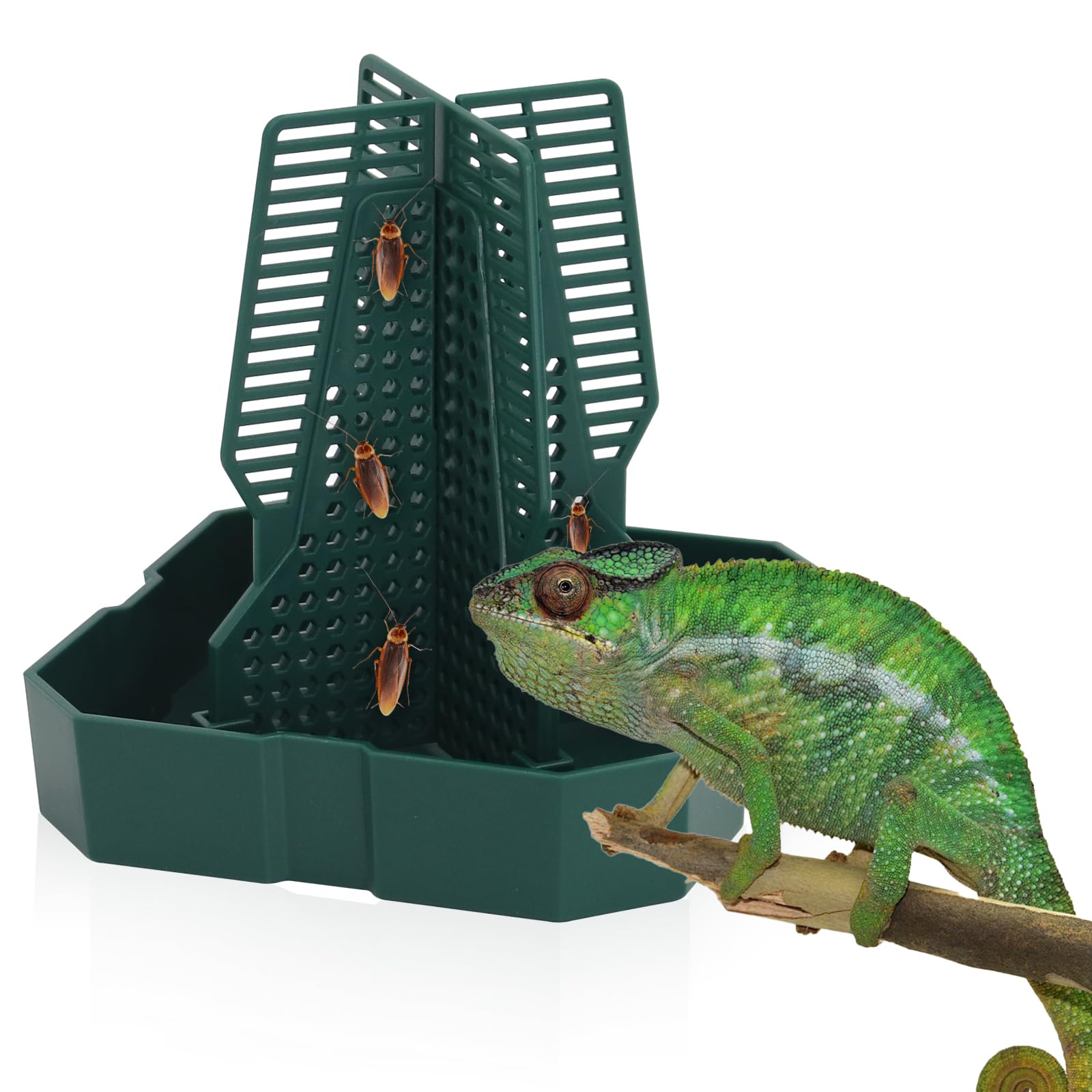 Green plastic reptile feeding station with escape-proof holes, holding crickets, with a chameleon approaching, ideal for keeping feeder insects contained for chameleons, lizards, and geckos