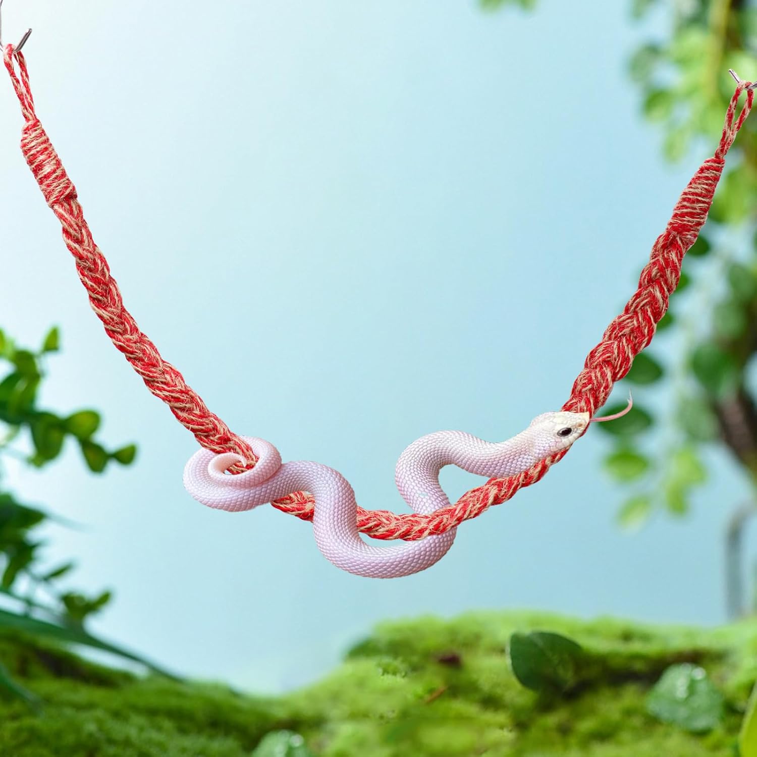 Red and beige braided reptile climbing rope vine, suspended with metal hooks, shown with a white snake coiled around it in a terrarium setting