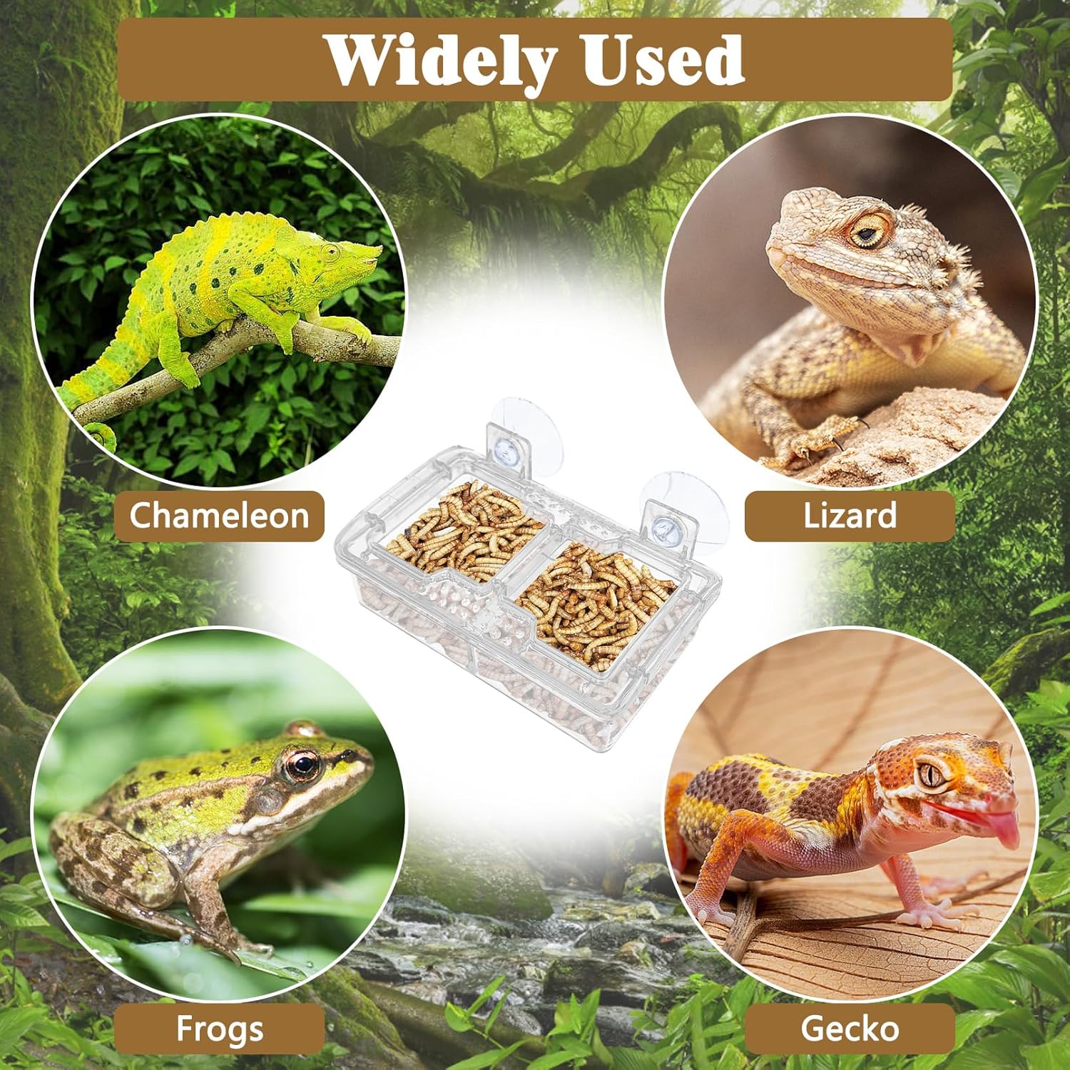 Clear reptile suction cup feeder with mealworms, shown to be suitable for chameleons, lizards, frogs, and geckos, highlighting its wide application in various reptile and amphibian terrariums