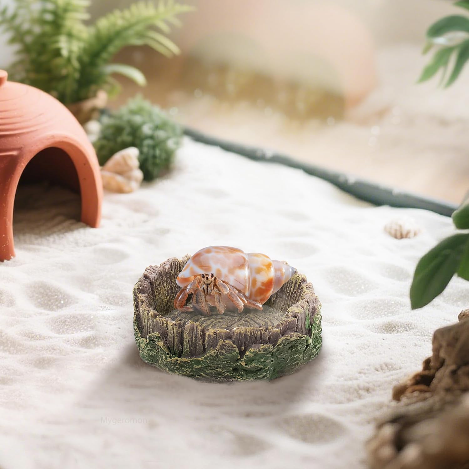 Naturalistic tree stump-shaped resin water dish for hermit crabs, shown in a realistic sandy terrarium environment with a crab, hideout, and plants, suitable for small reptiles and amphibians