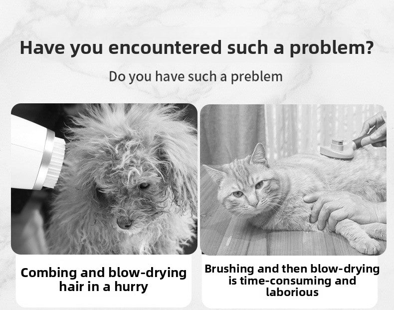 2-in-1 Pet Hair Dryer & Grooming Comb – Fast Drying Low Noise Dog & Cat Blow Dryer Brush